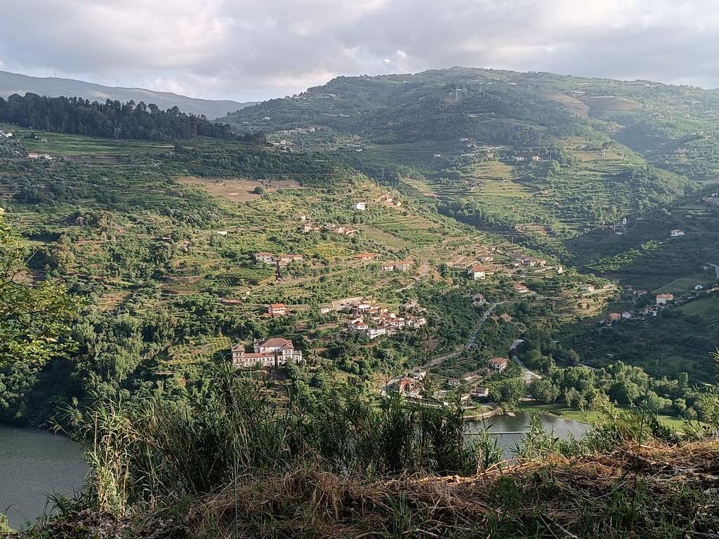 Terreno florestal com vista para a praia fluvial de Porto de Rei em Barqueiros, Mesão Frio às portas do Douro - Image 24