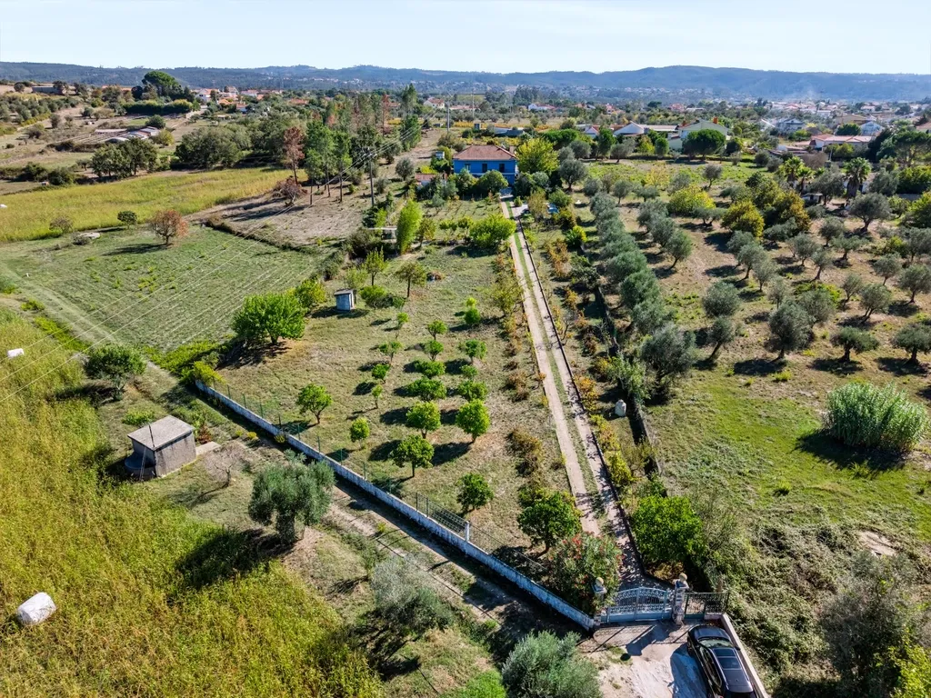 Moradia com 5.100 m² de terreno e vista para o Castelo de Tomar - Image 2