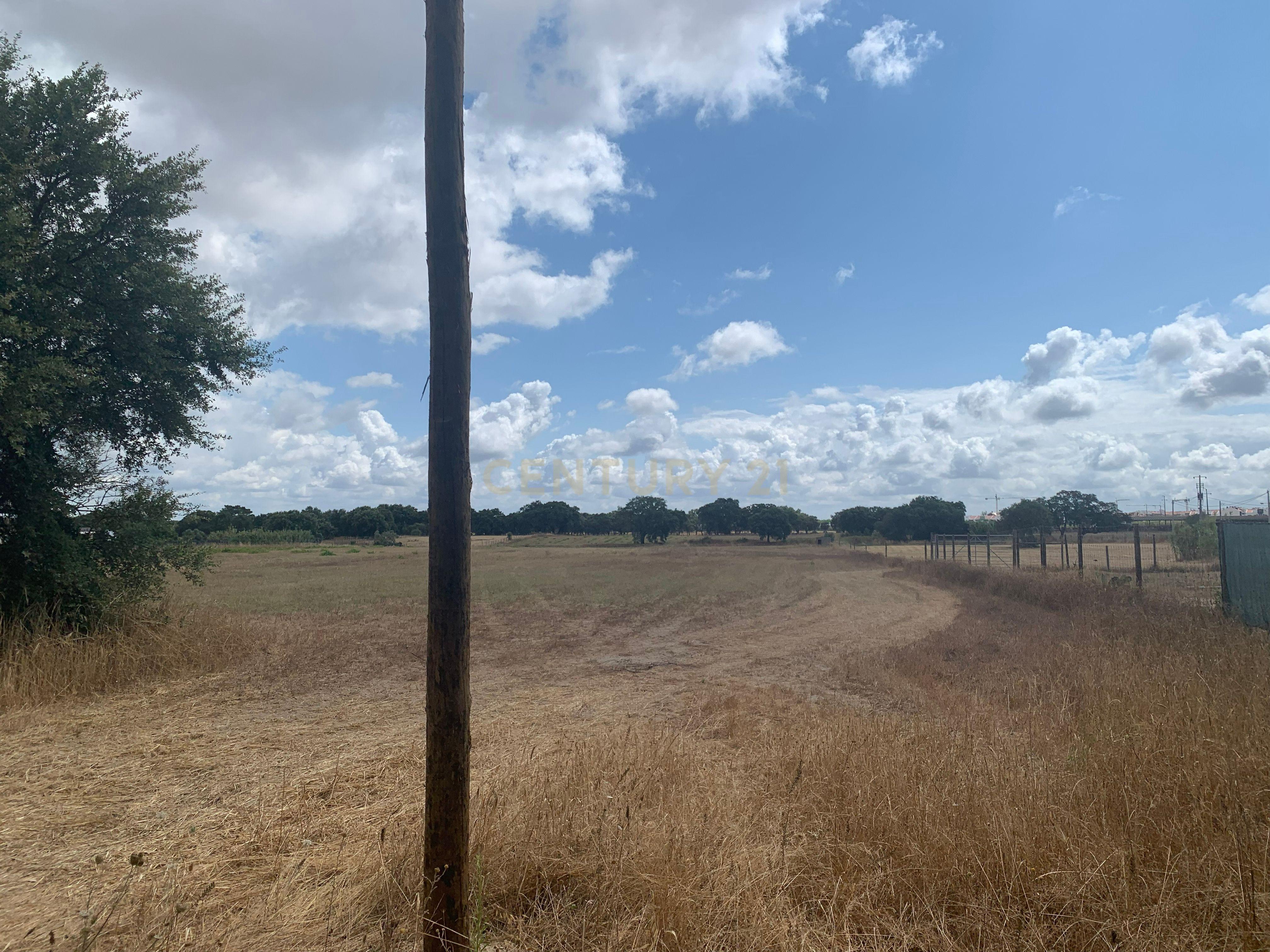 Fotografia 9 de Vende-se Imperdível Quinta no Pinhal Novo