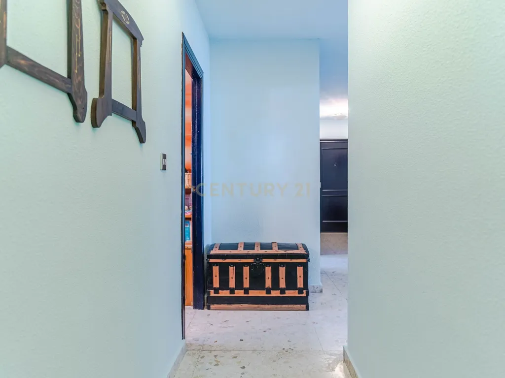 - Image 37