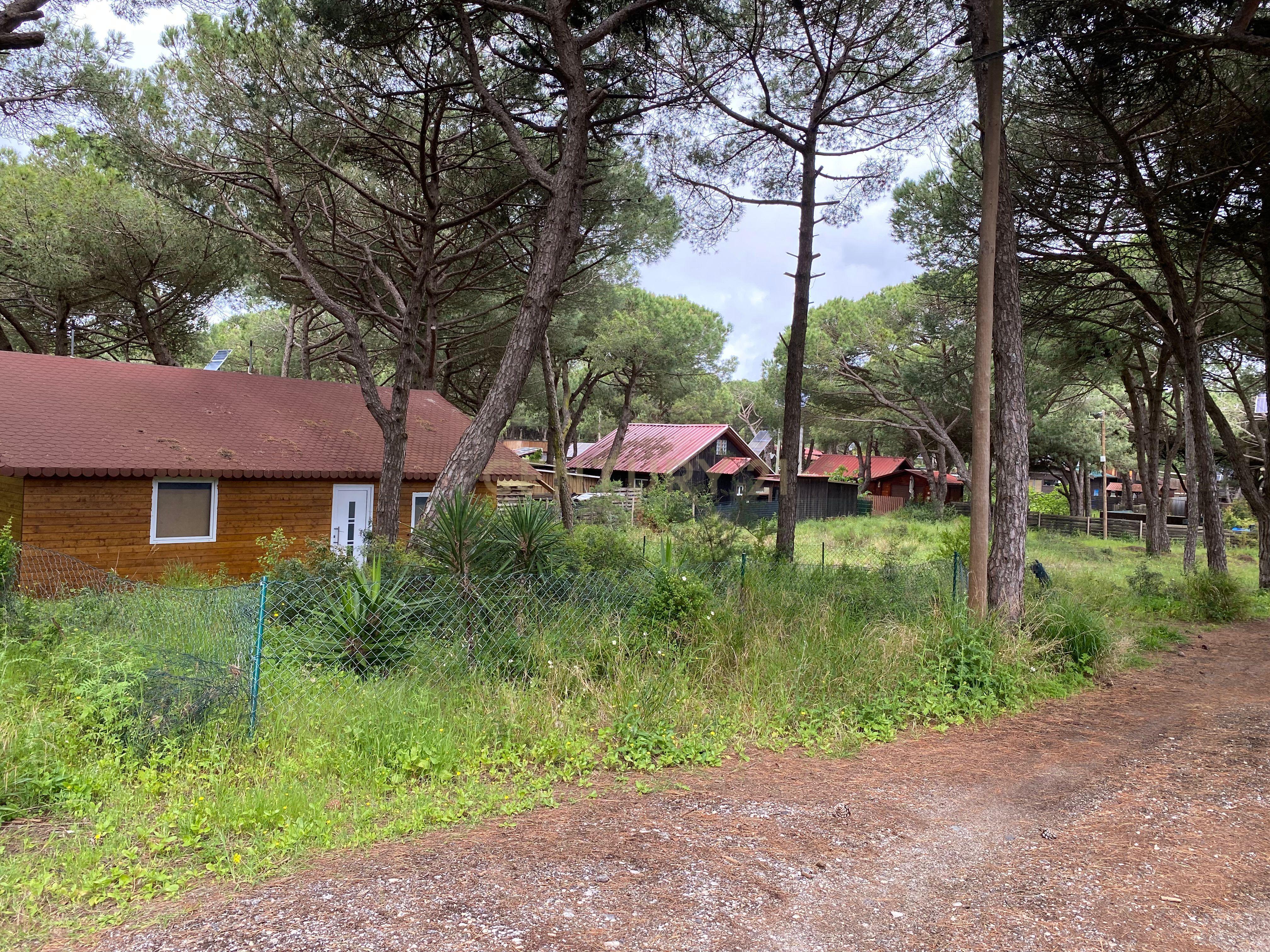 Moradia na Quinta de Zimbral - Charneca de Caparica  - Image 20