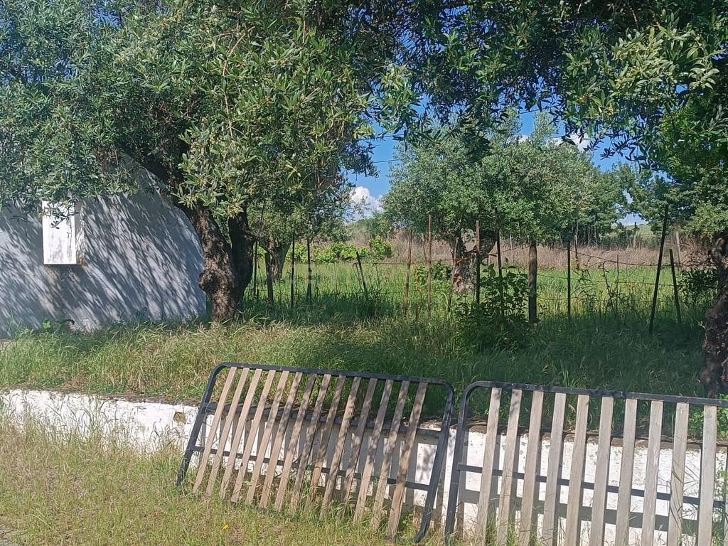 Quintinha em Elvas - Image 4