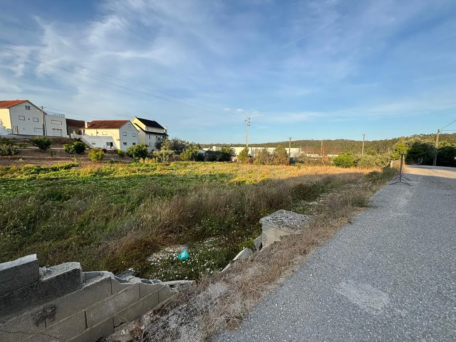 Fotografia 7 de Terreno rústico com viabilidade construtiva em Albergaria dos Doze, Pombal