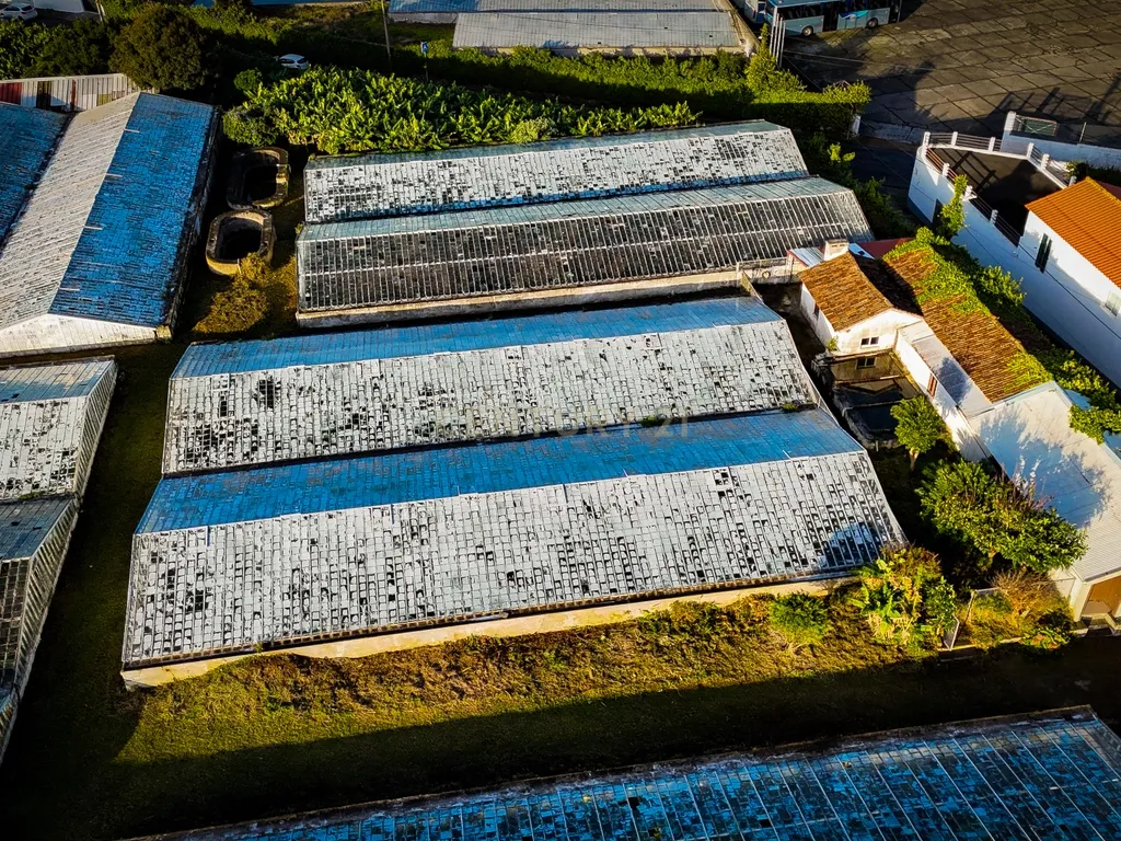 Propriedade Única com Estufas de Ananases e Potencial Urbano — Abelheira de Baixo, São Roque - Açores - Image 3