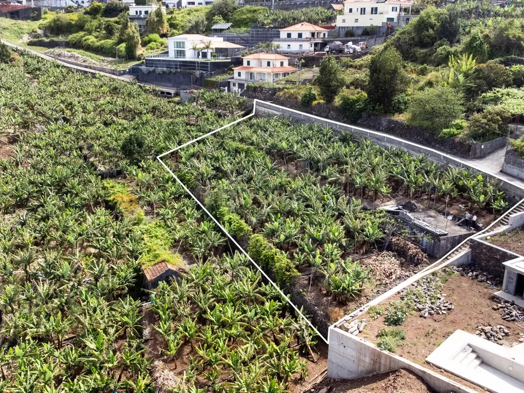 Terreno para construção 1946m2 - Arco da Calheta - Image 8