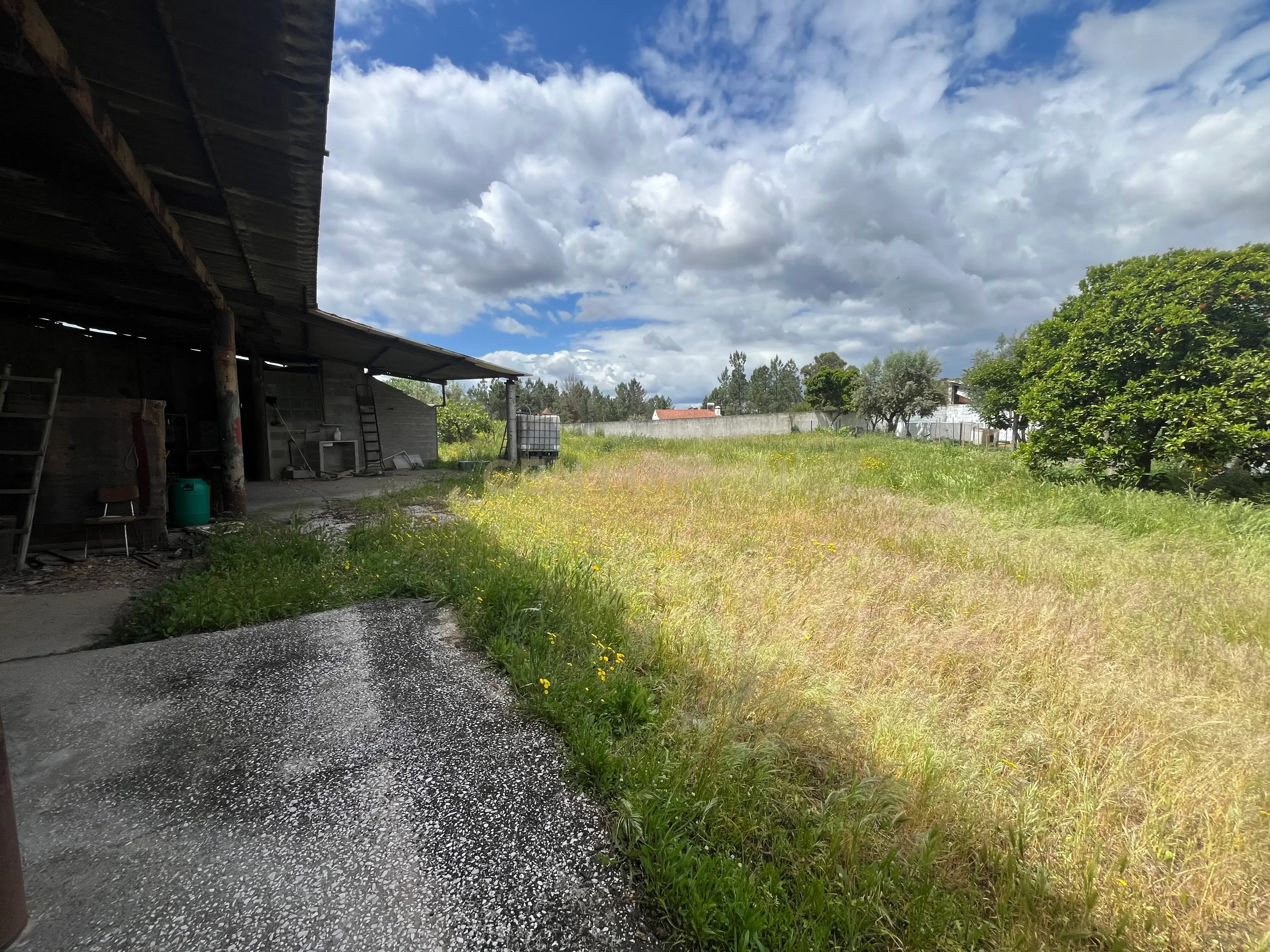 Terreno Urbano com Vista para Serra em Abrantes - Image 11