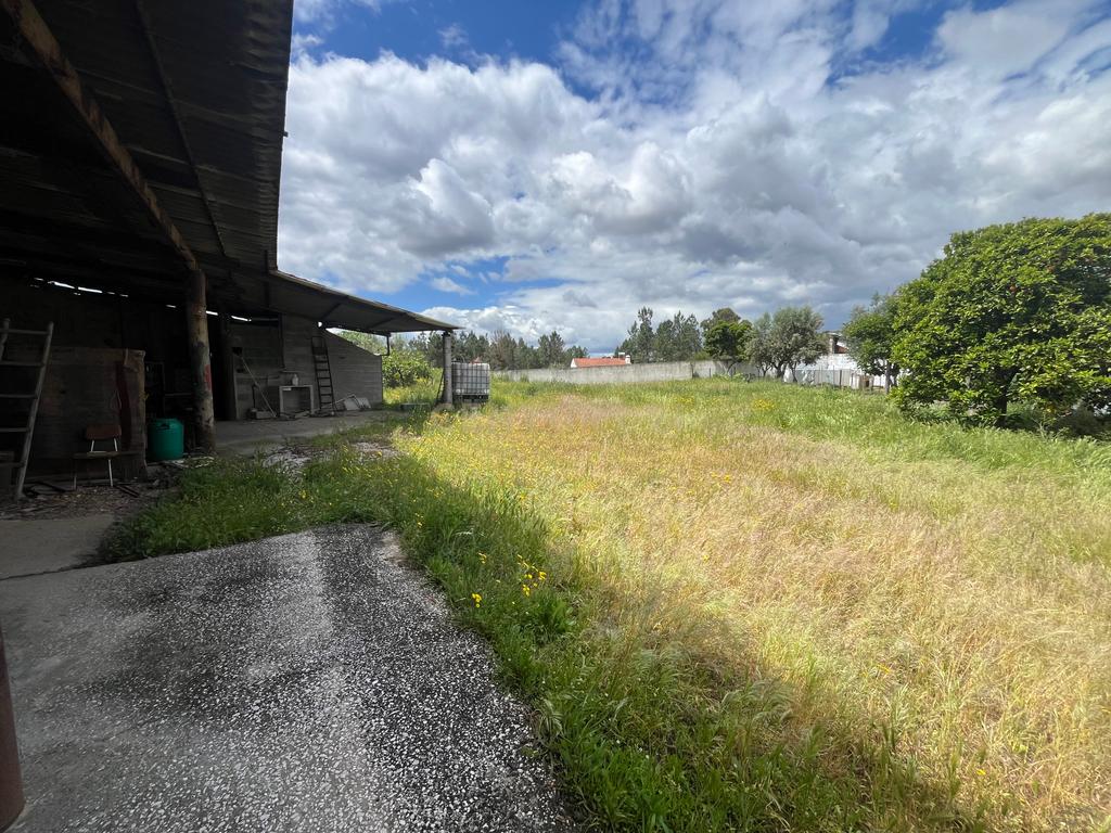Terreno Urbano com Vista para Serra em Abrantes  - Image 11