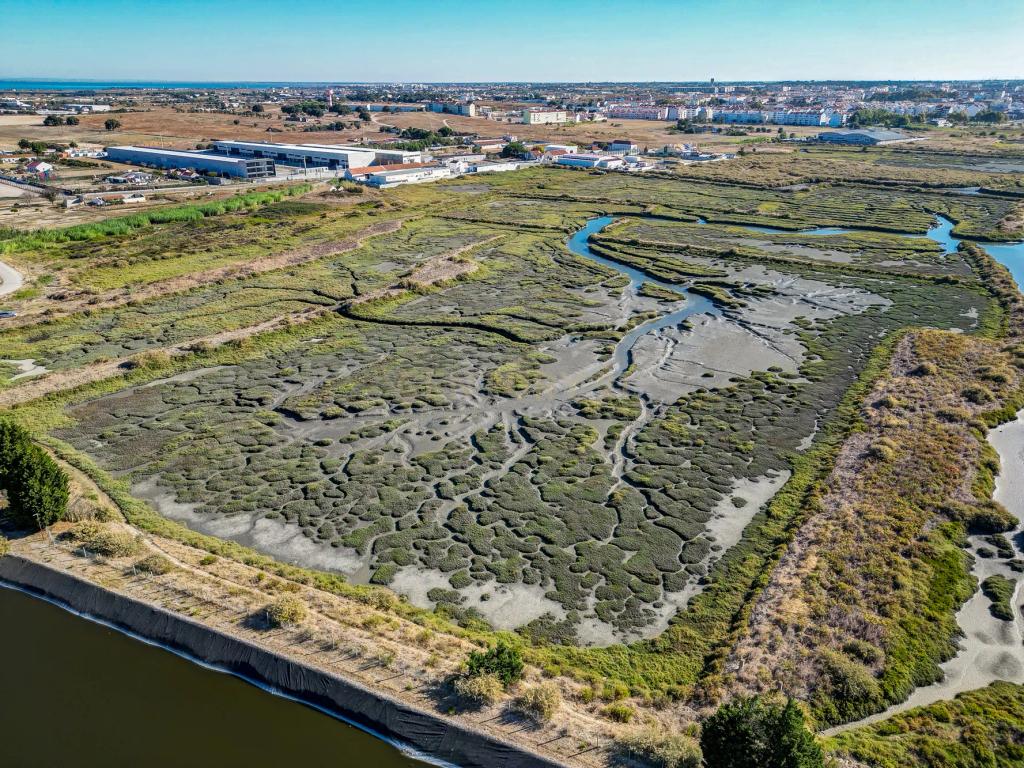 Terreno 20,18ha, Montijo - Seixalinho, para actividades de piscicultura e agricultura - Image 5