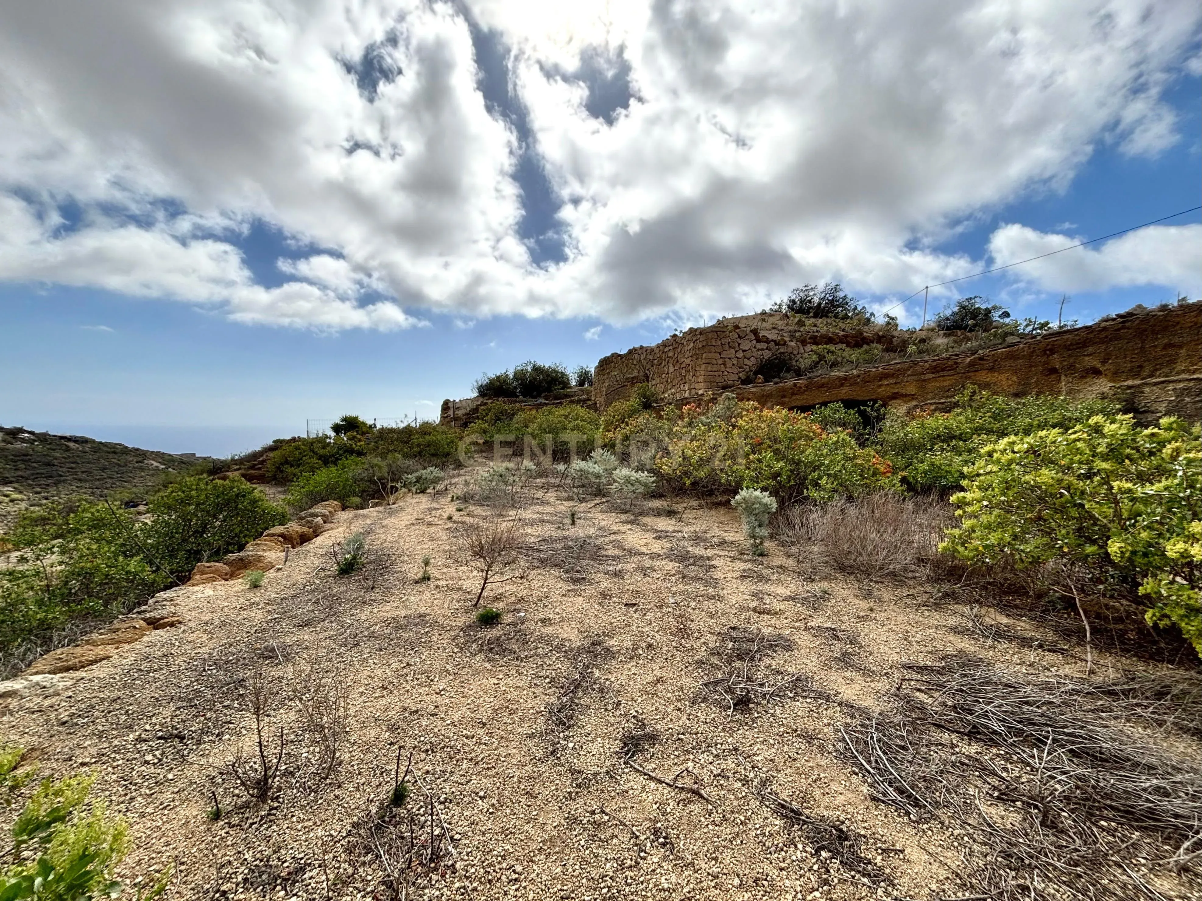 - Image 1