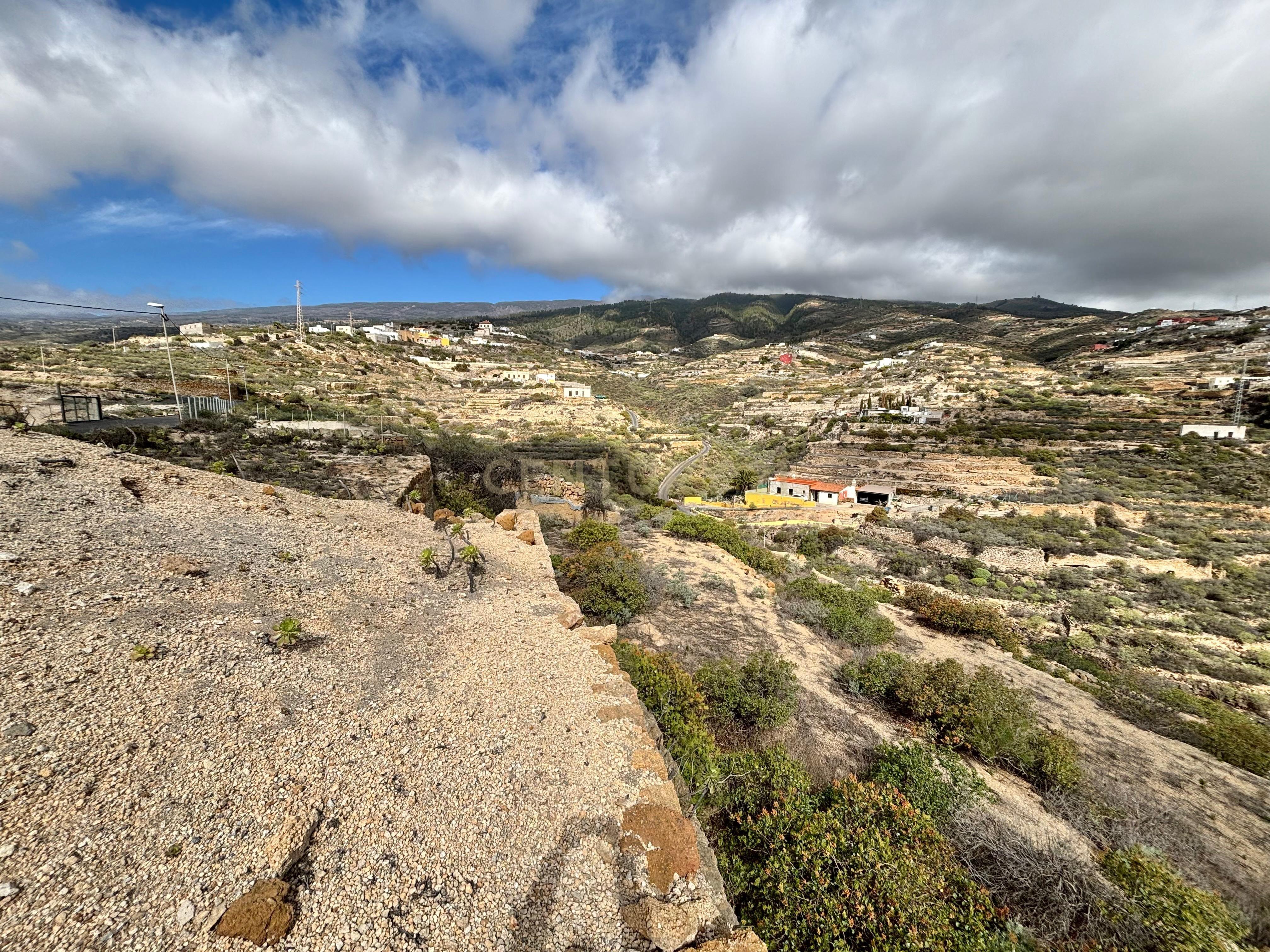 - Image 11