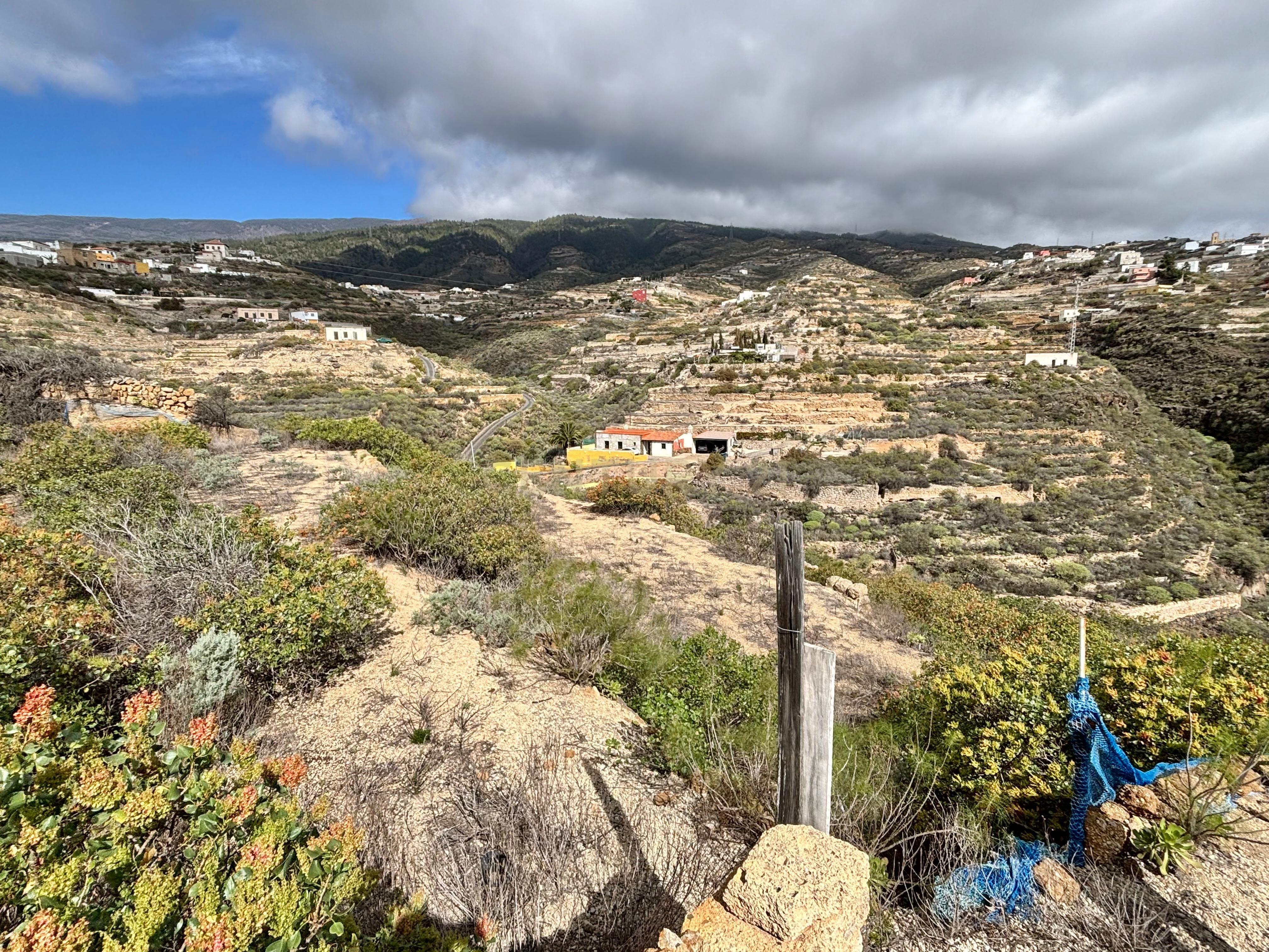 - Image 13