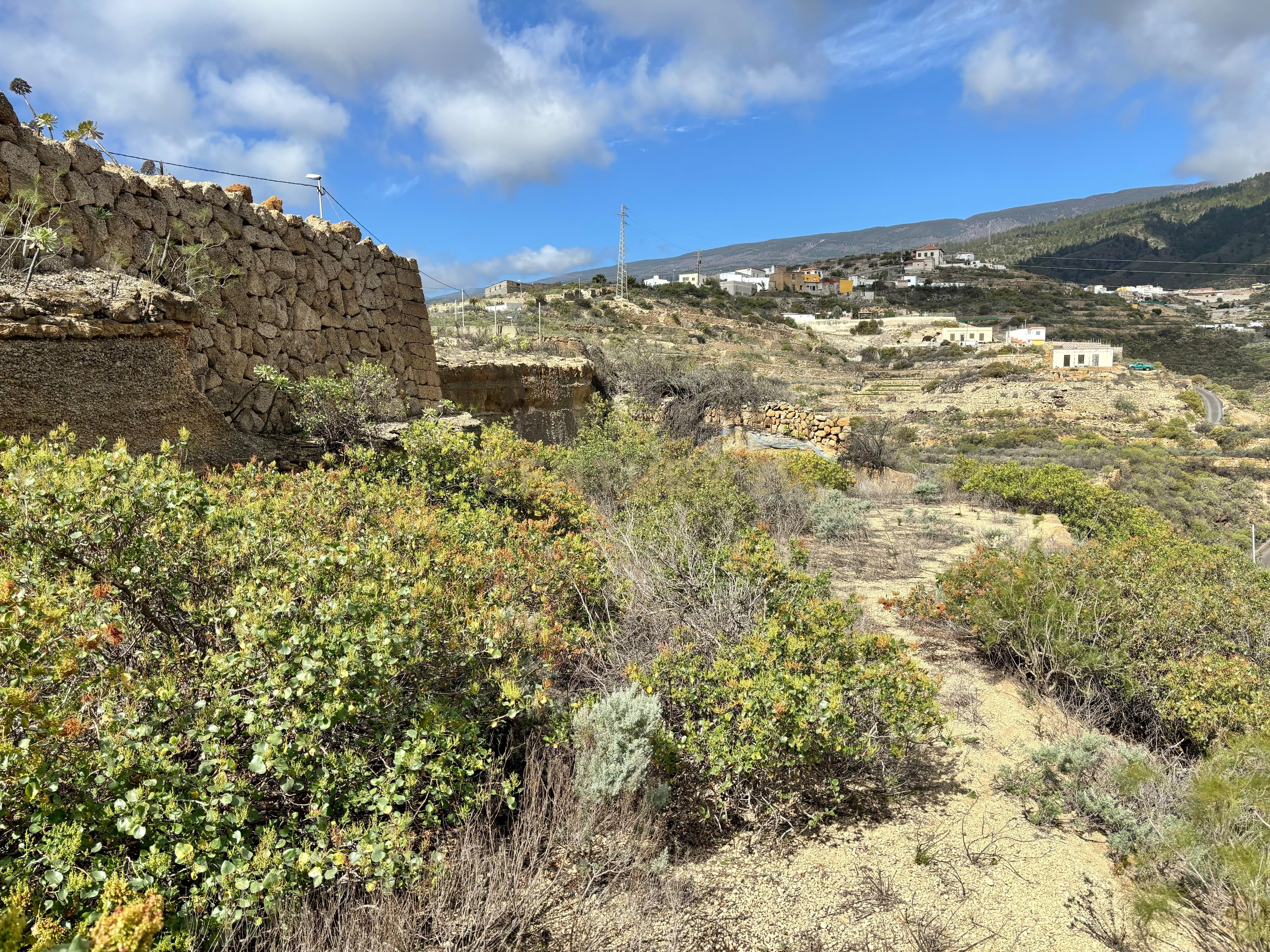 - Image 14