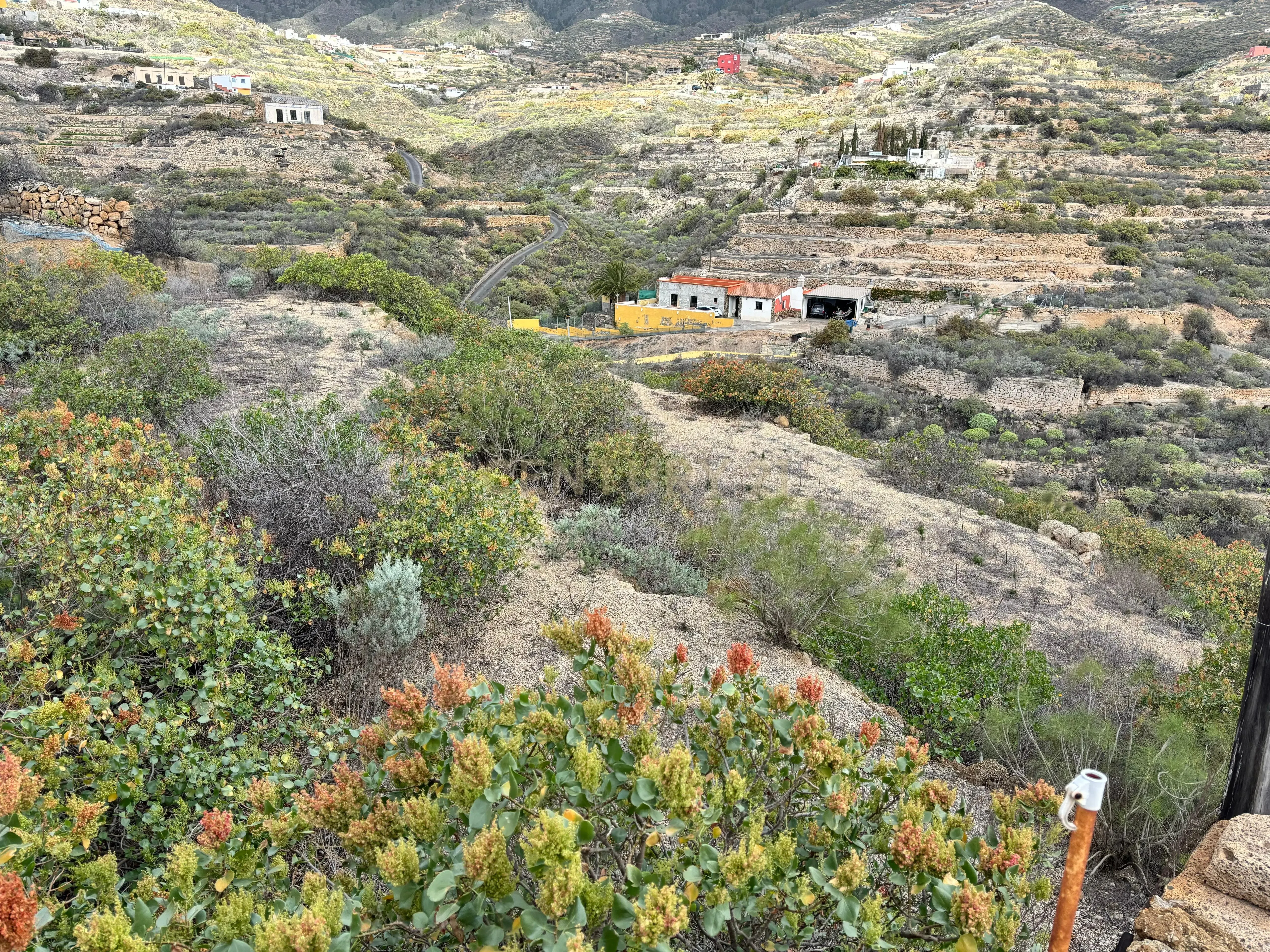 - Image 16
