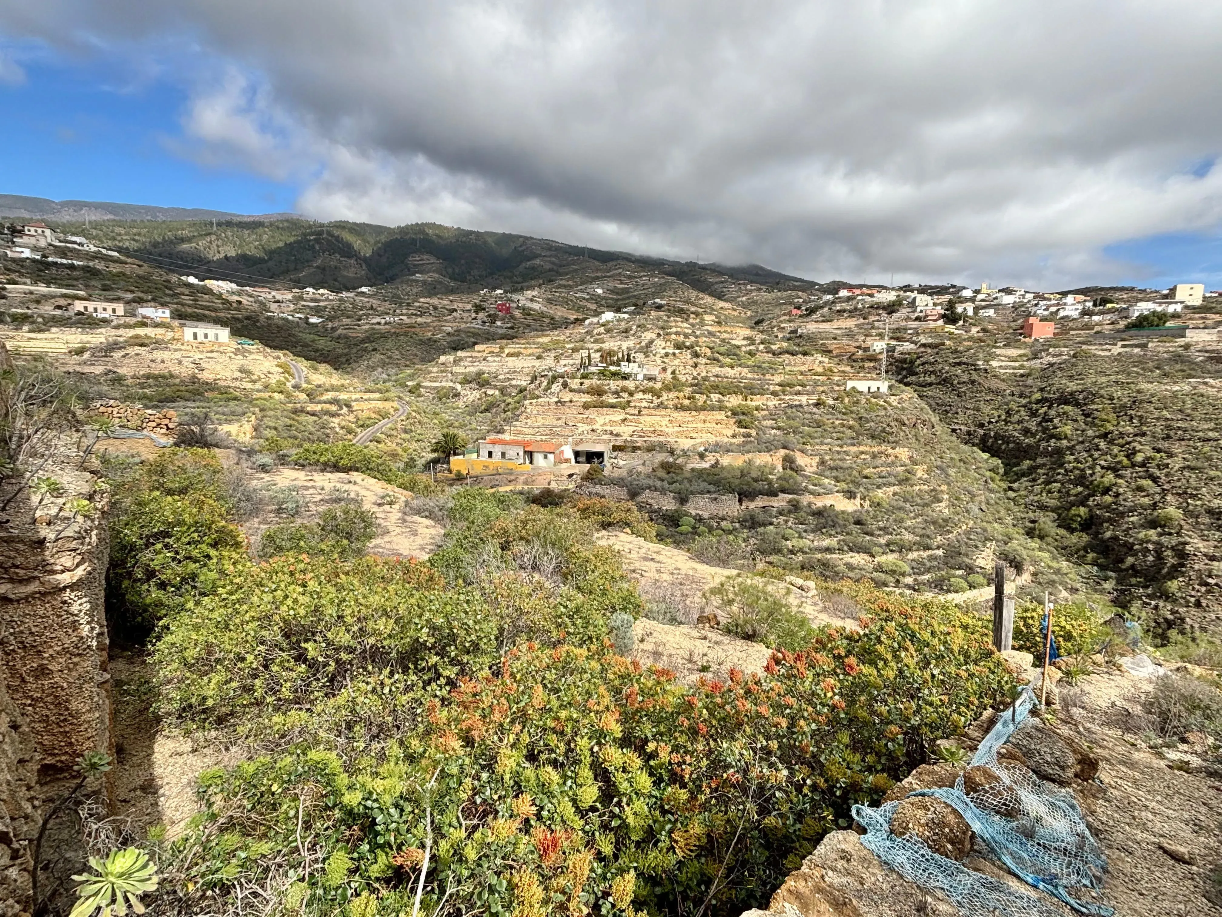 - Image 17