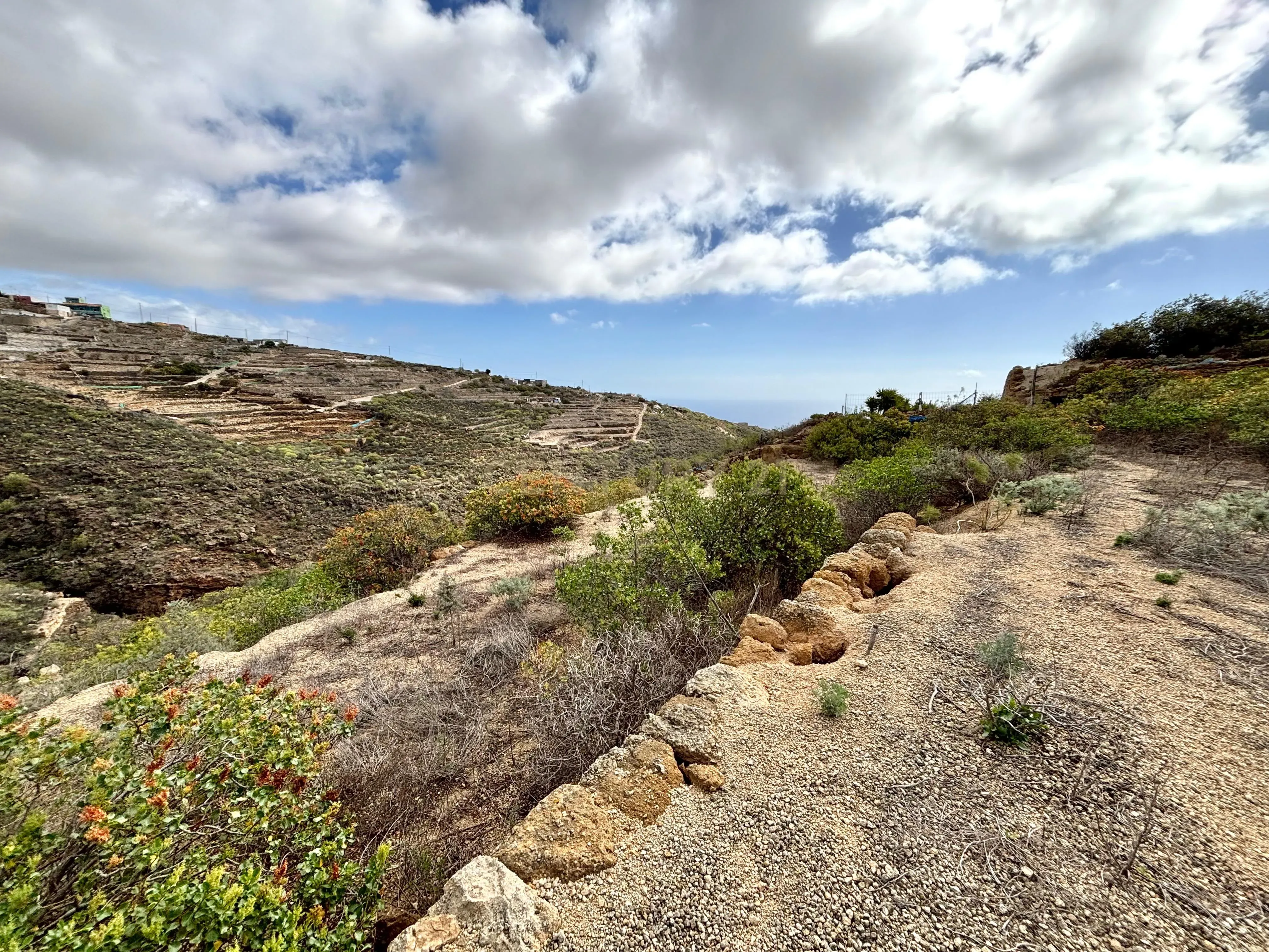 - Image 3