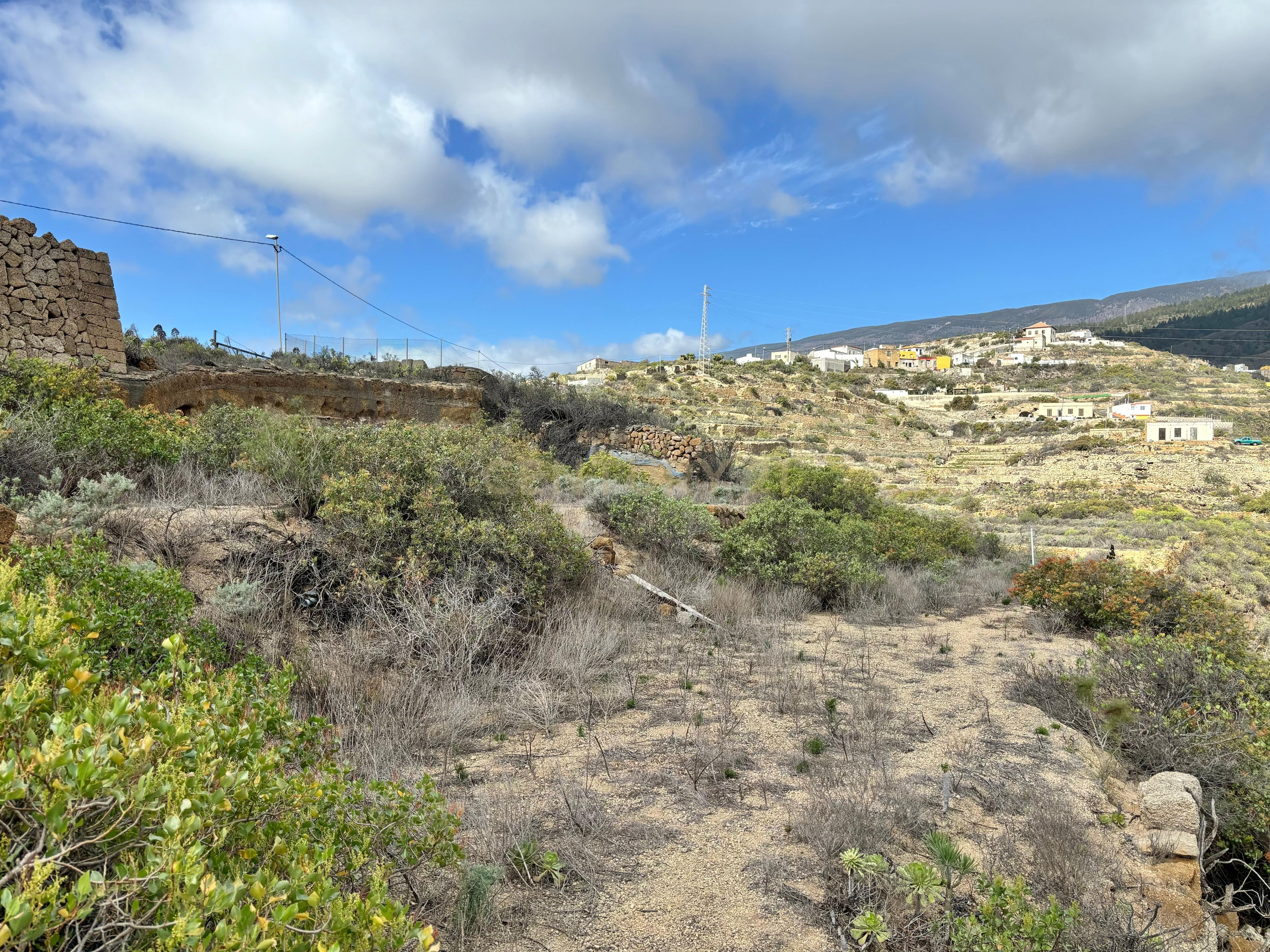 - Image 4