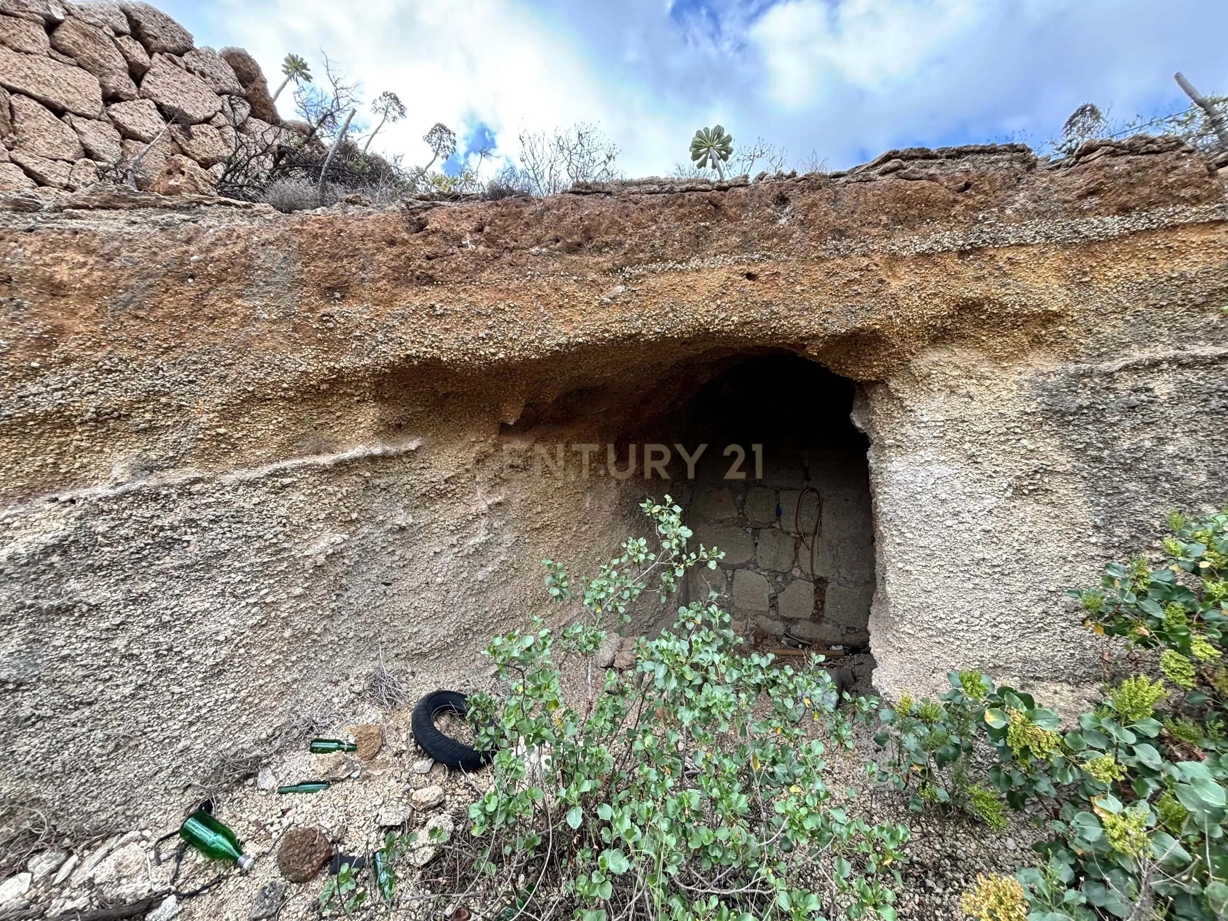 - Image 7