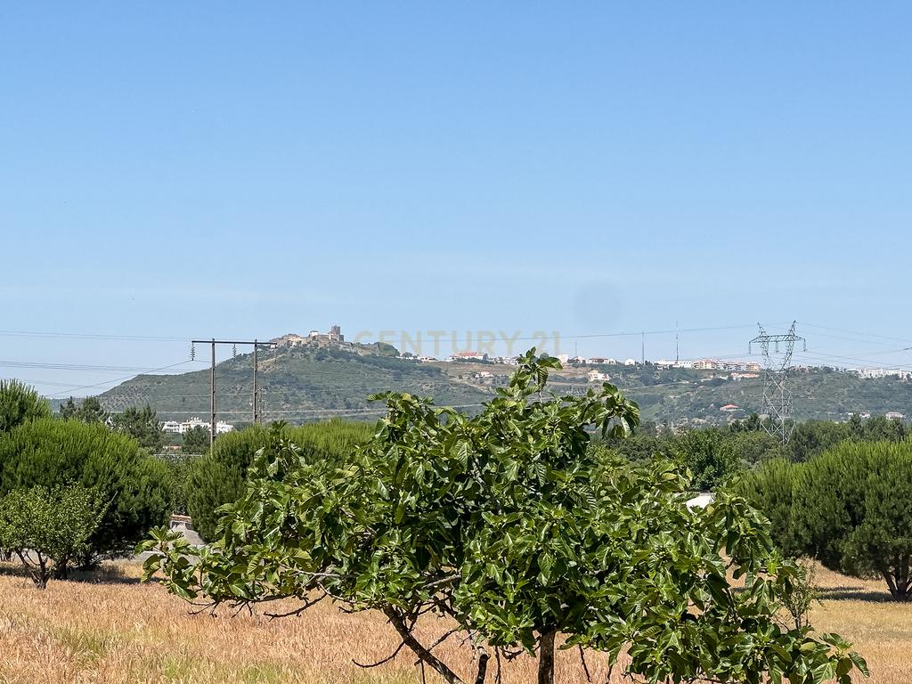 Terreno rústico agrícola, em Pessolhos, Setúbal - Image 8