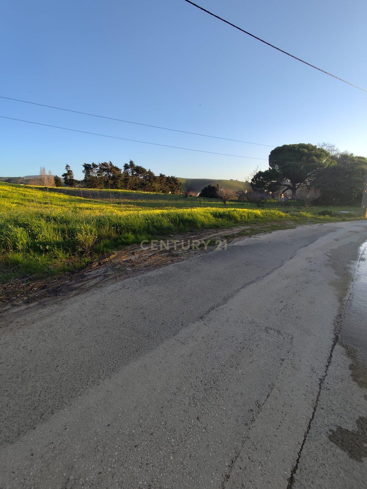 Fotografia 10 de TERRENO URBANO COM 1.620 m² | CARVALHAL – TURCIFAL | TORRES VEDRAS