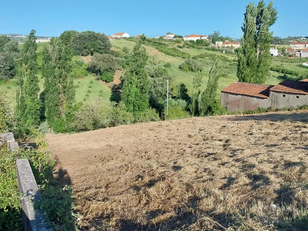 Terreno com Viabilidade de Construção nas Fragosas - Image 1
