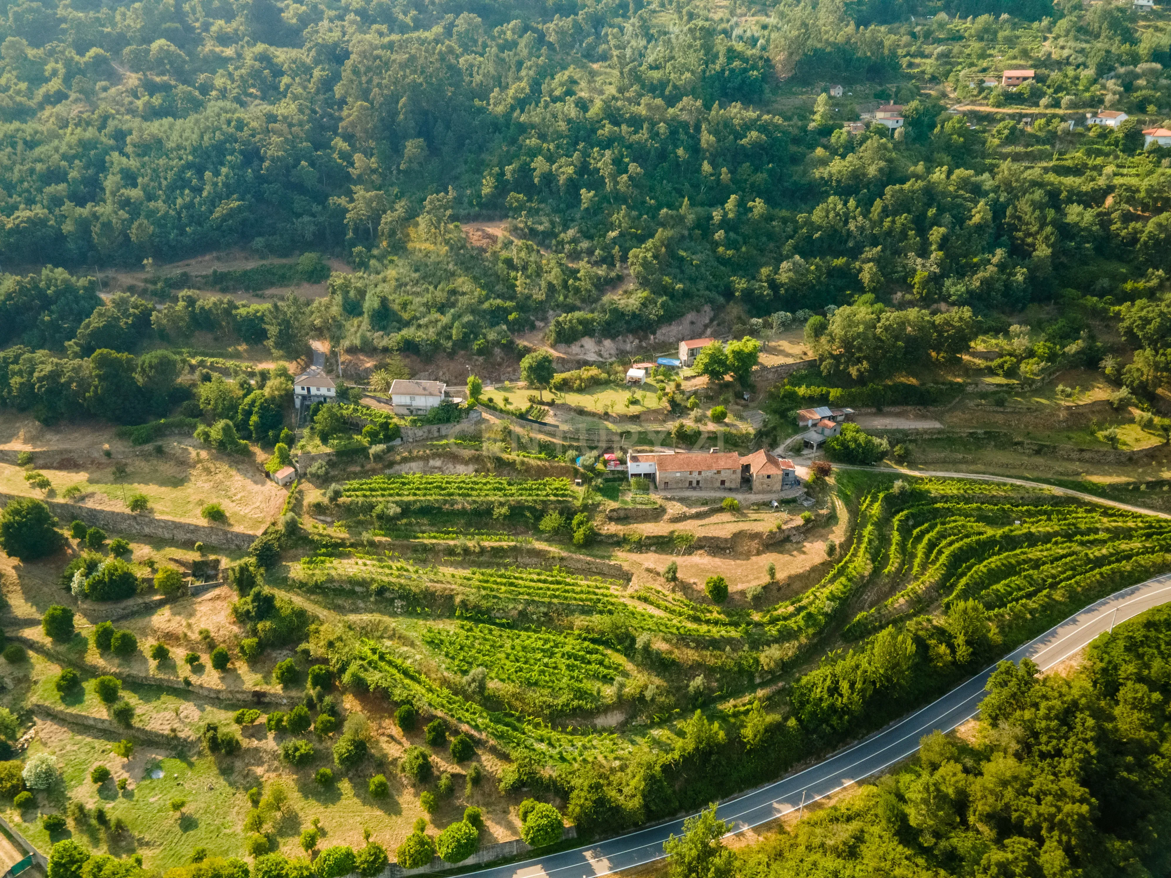 Quinta com Vista Deslumbrante sobre o Rio Douro – Projeto Aprovado para Hotel Rural | Paços de Gaiolo - Image 3