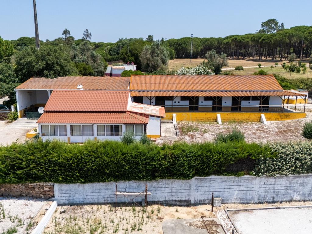 Quinta Equestre a 45 minutos de Lisboa - Image 8