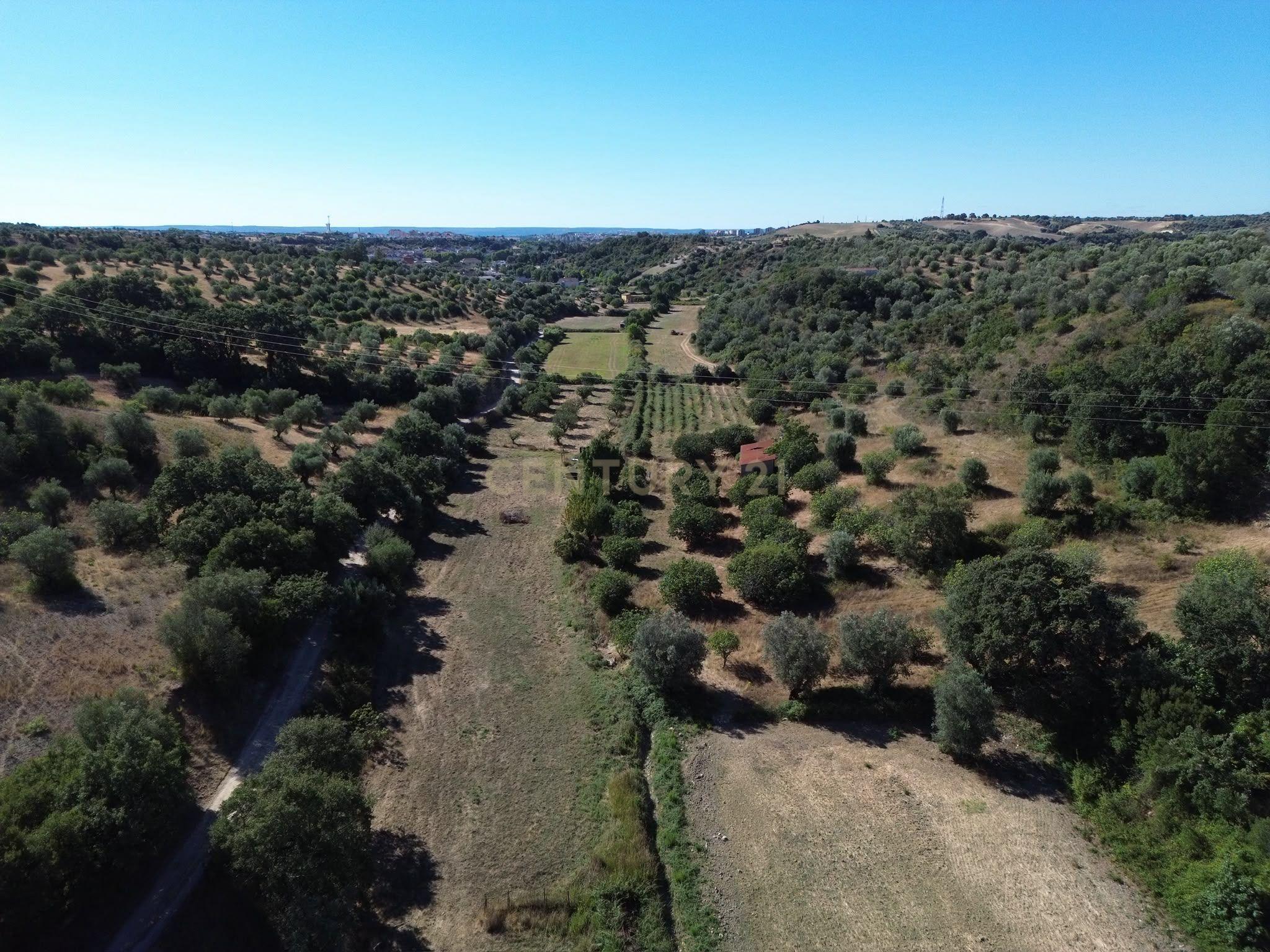 Fotografia 4 de Terreno Rústico com 29.880 m² nas Lapas, Torres Novas