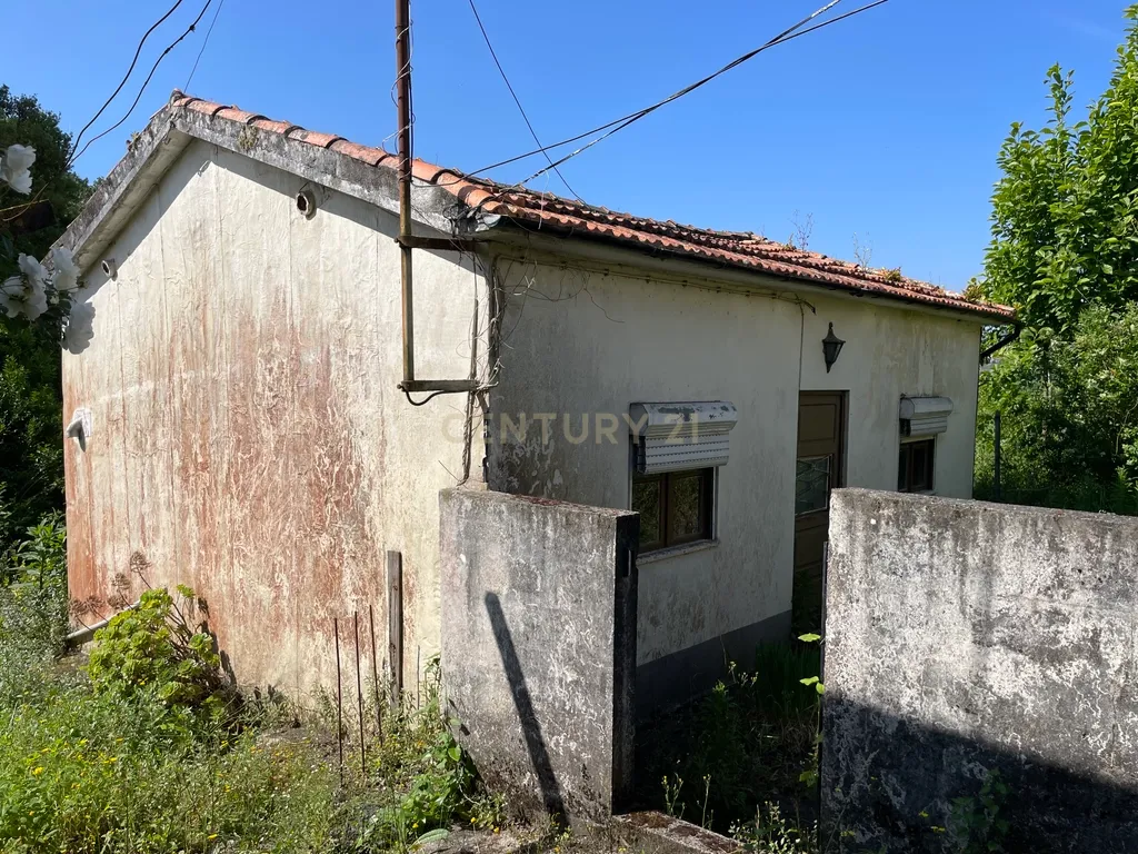 Propriedade junto ao Freixo - Image 19
