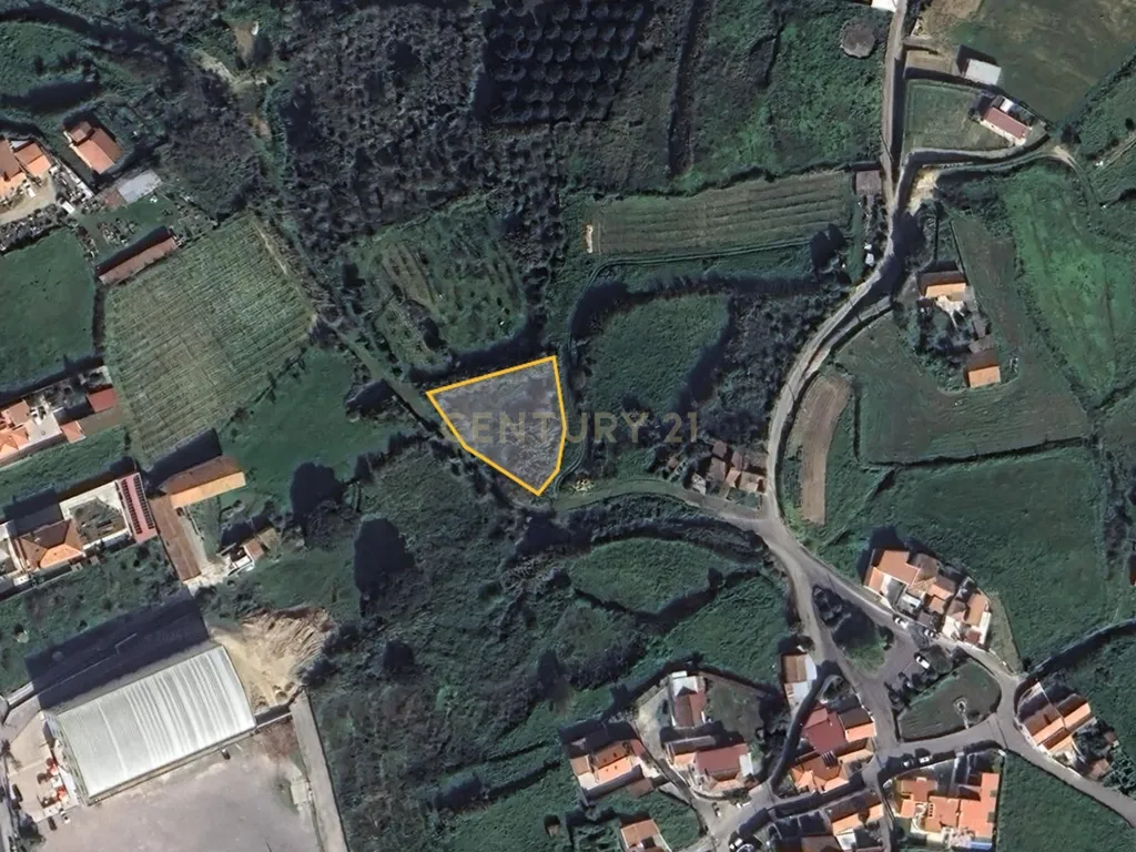 Terreno Agrícola - São João das Lampas - Image 14