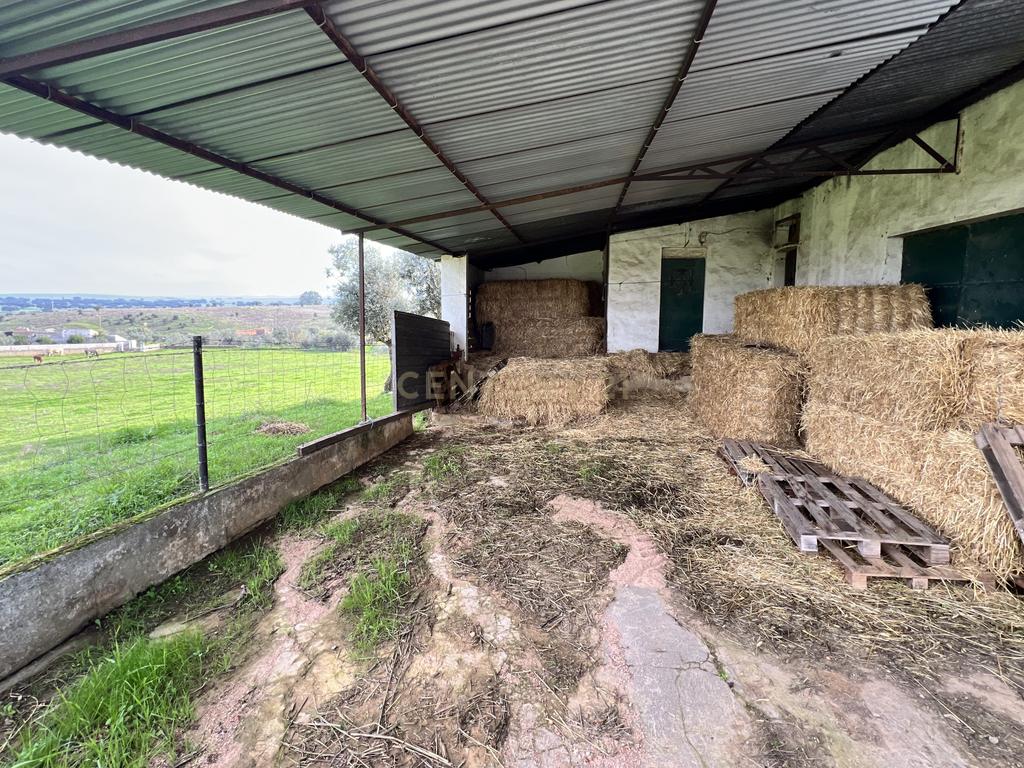 Magnífica Quinta em Monforte com Vista Panorâmica e Piscina - Image 10