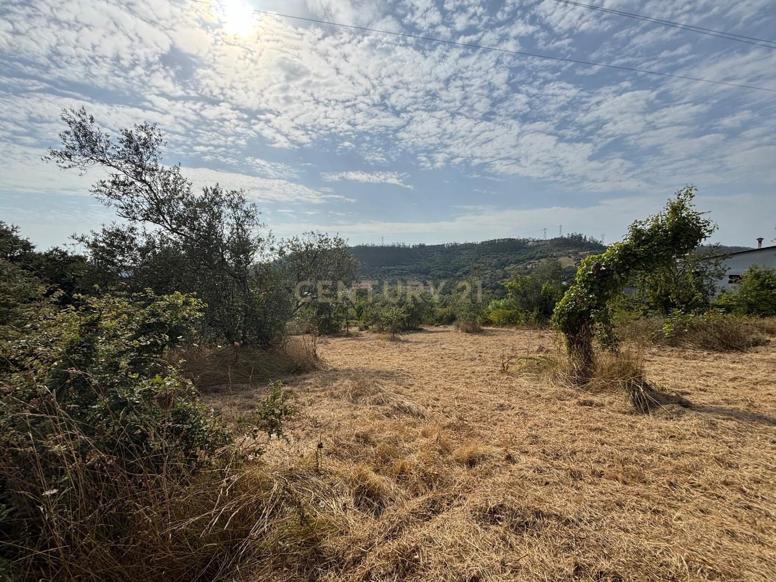 Fotografia 2 de Terreno com viabilidade construtiva em Santiago de Litém - Localização Central e Acessível