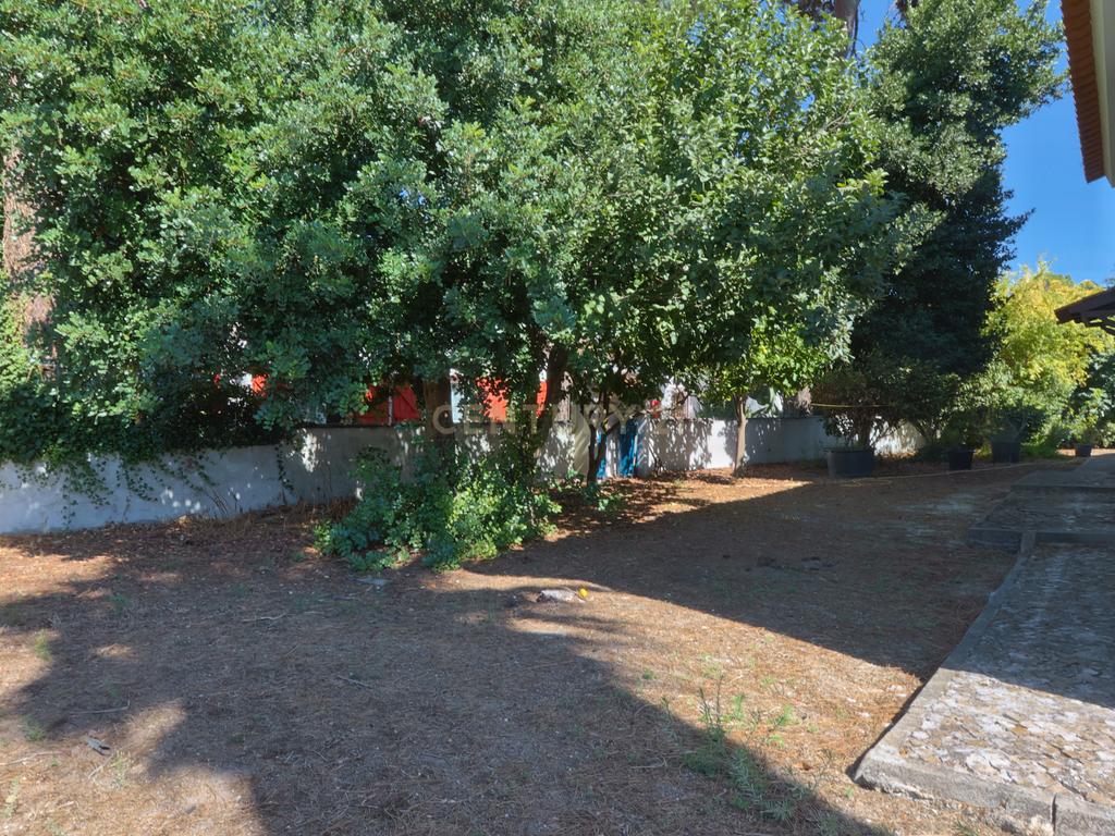 Casa T5 na Verdizela - Qualidade e Exclusividade - Image 37