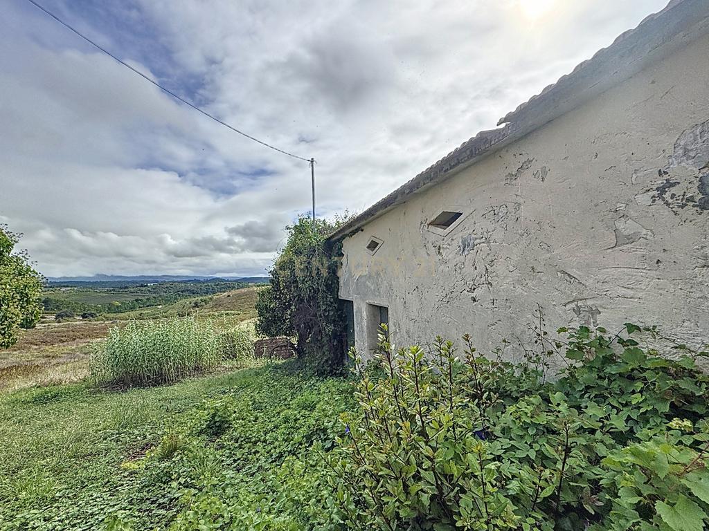 Terreno - Adega - Para Restaurar -  Montes - Quinta - Alcobaça - Image 5