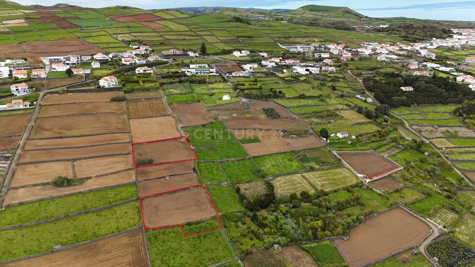 Fotografia 4 de Terrenos agrícolas  na zona da Ladeira Grande – Ribeirinha, Ilha Terceira.