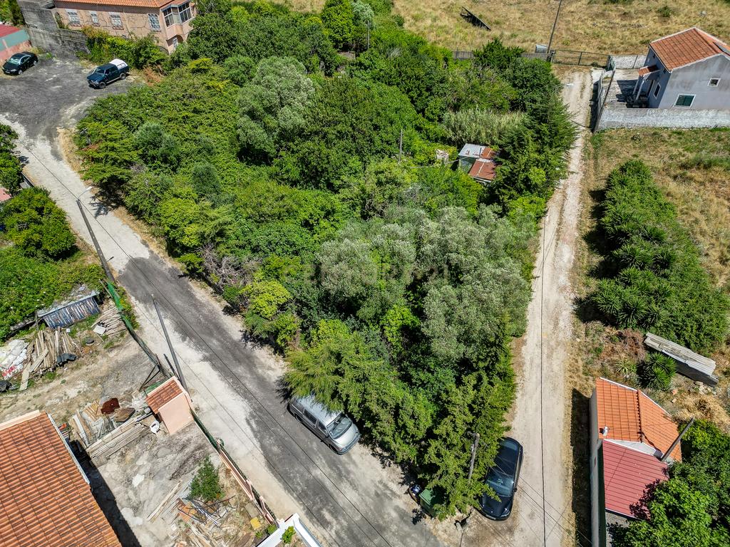 Terreno à Venda em Vale de Almornos – 1.000 m² de Natureza, Potencial e Tranquilidade! - Image 15