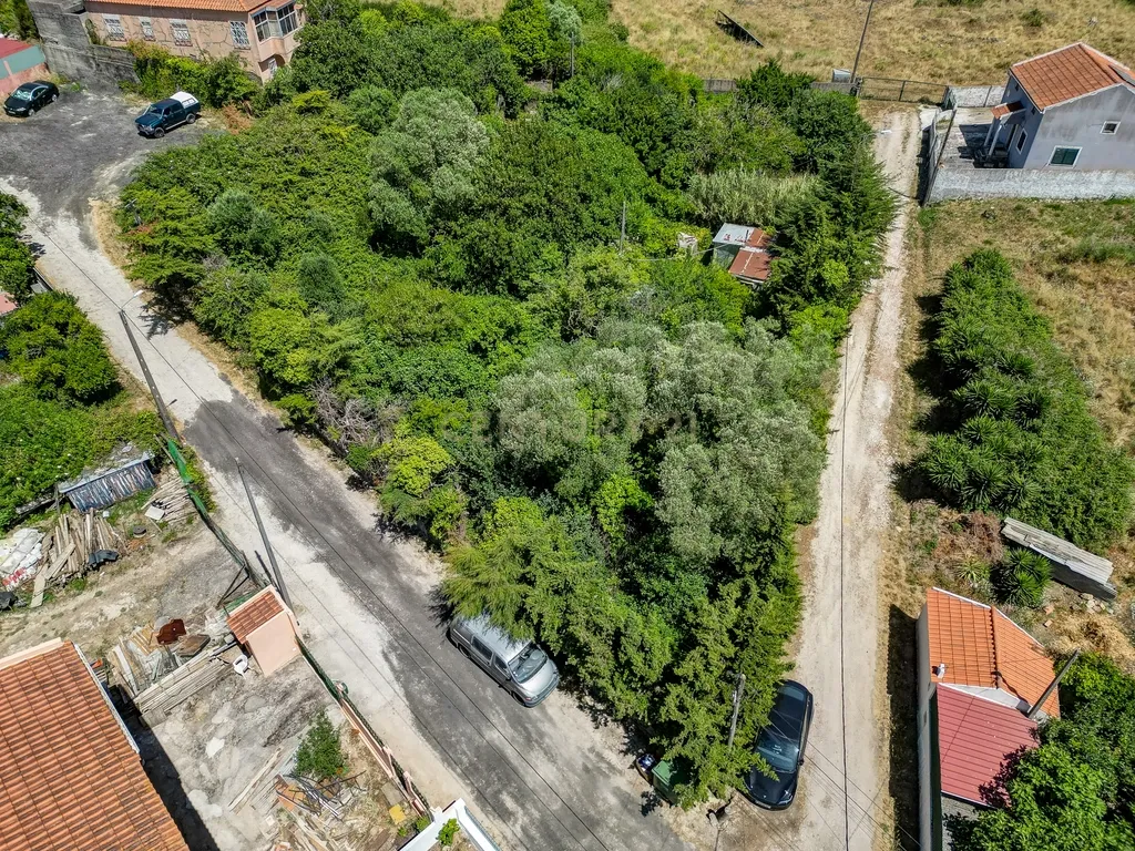 Terreno à Venda em Vale de Almornos – 1.000 m² de Natureza, Potencial e Tranquilidade! - Image 15