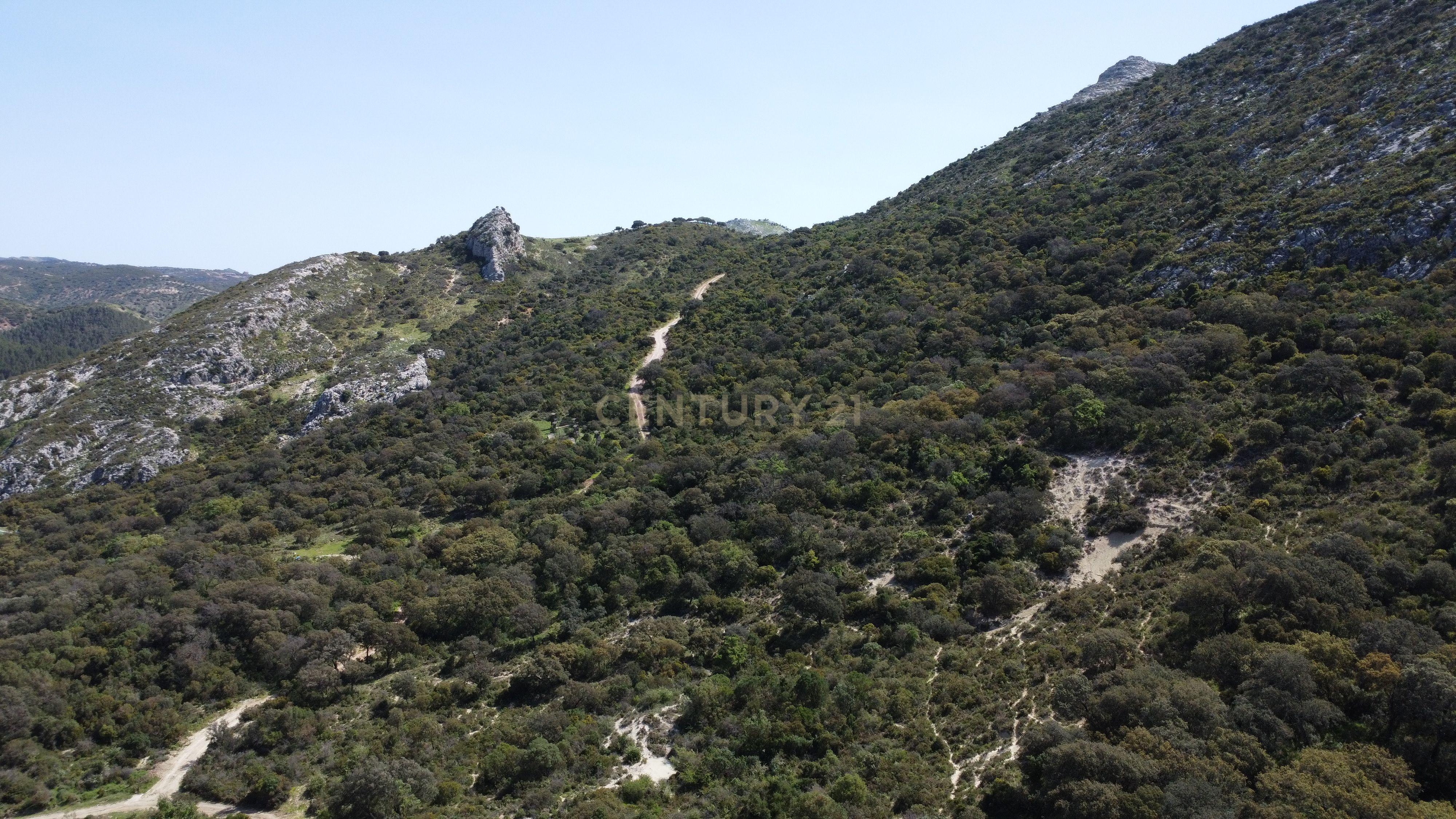 VENDA DE PROPRIEDADE RÚSTICA EM ANTEQUERA COM EXPLORAÇÃO DE AGROTURISMO - Image 11