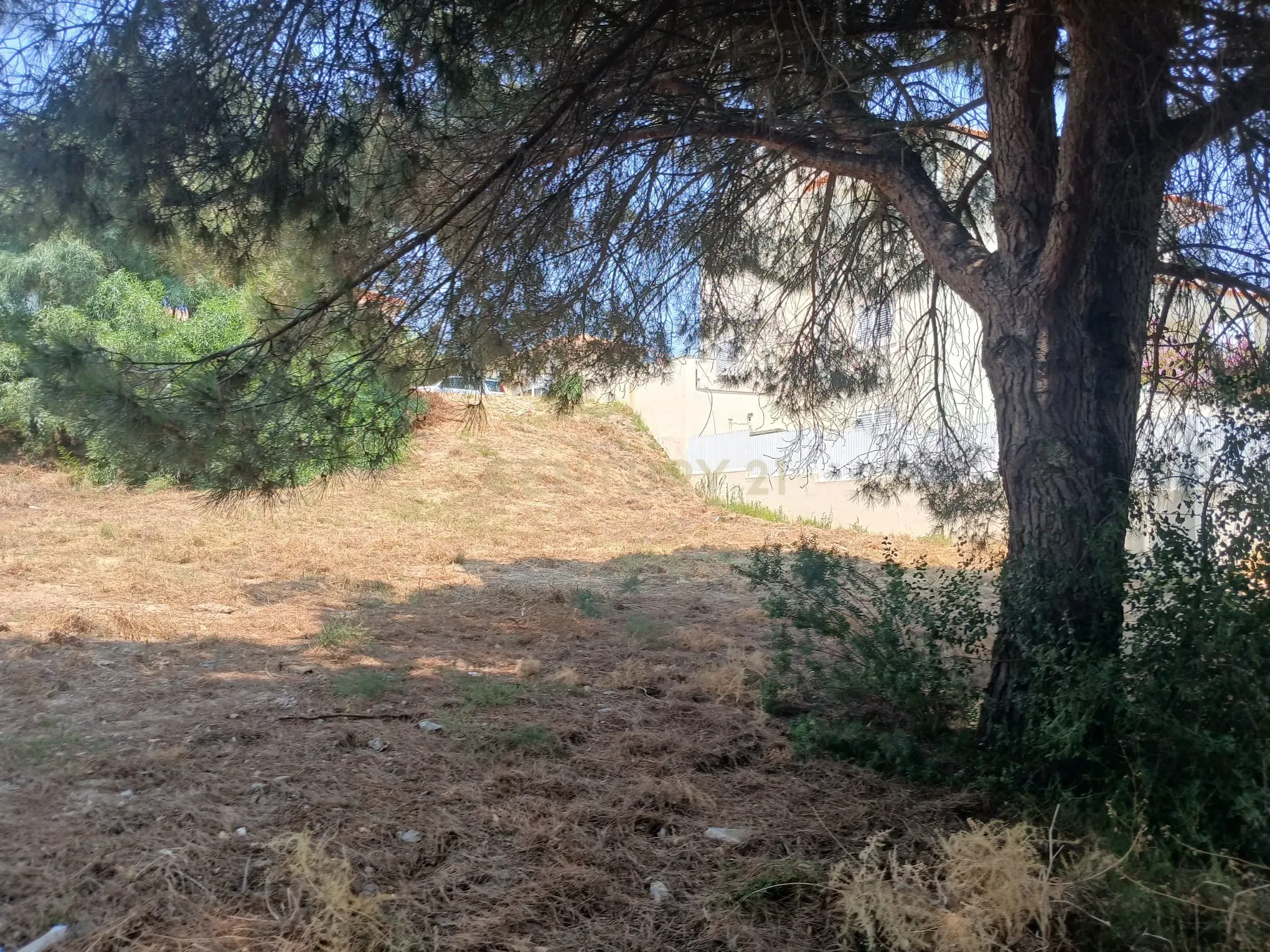 Fotografia 2 de Lote Urbano de 500 m² para Construção no Feijó
