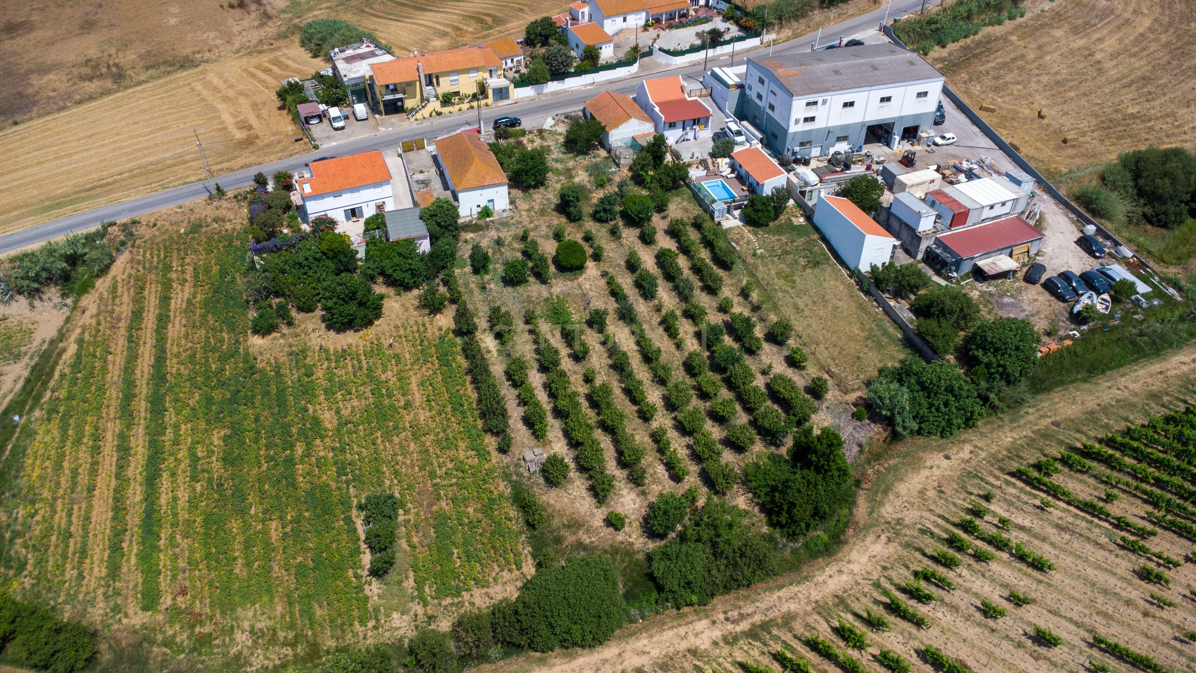 Quinta em Bonabal com Moradia T3 + Armazém + Terreno com mais de 3 400m2