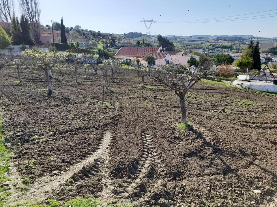 Moradia T4 em Quinta de 1950 com piscina e terra fértil - Image 19