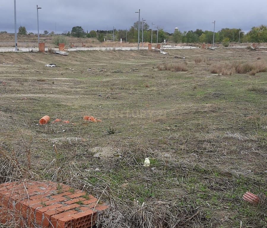 Terreno - Image 10