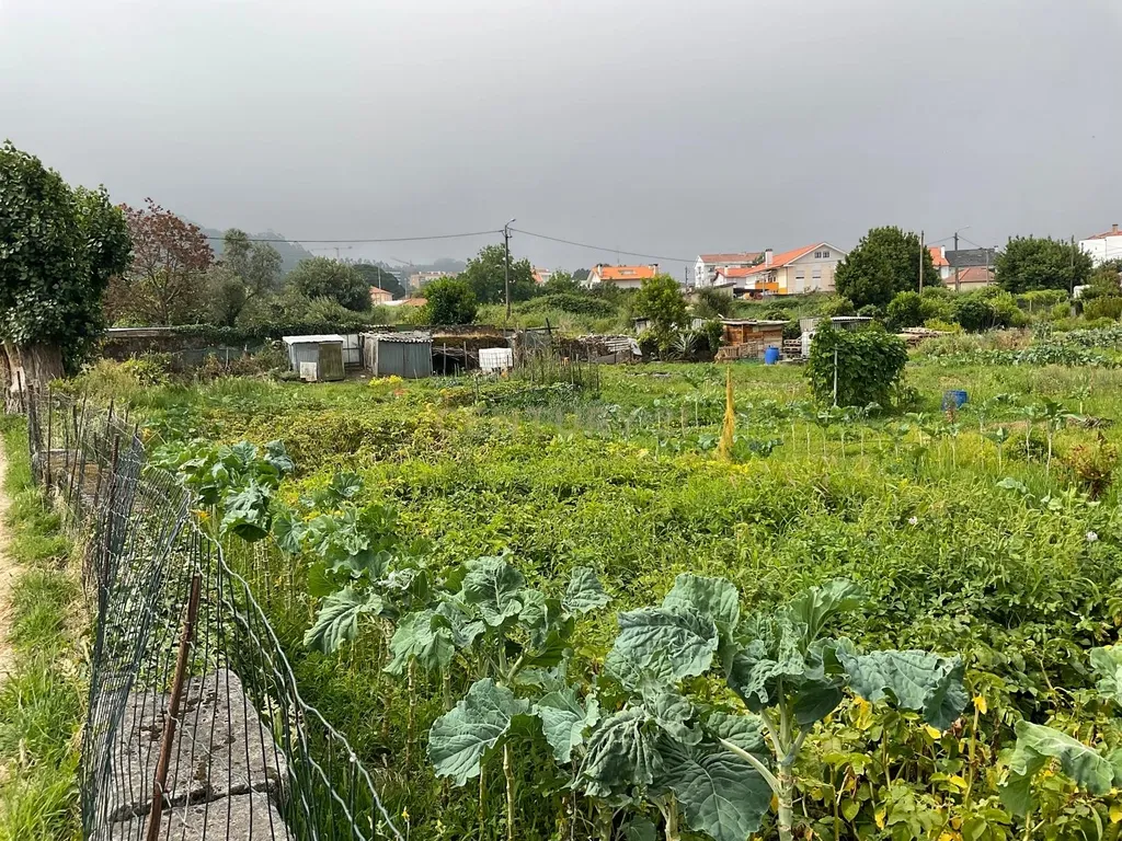 Espetacular Terreno de 572m² em Viana do Castelo - Image 7