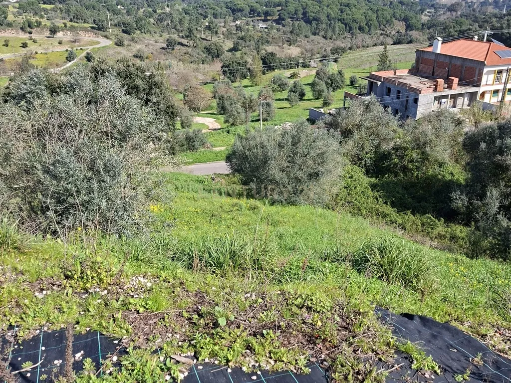 Oportunidade – Lote de Terreno em Montargil - Image 11
