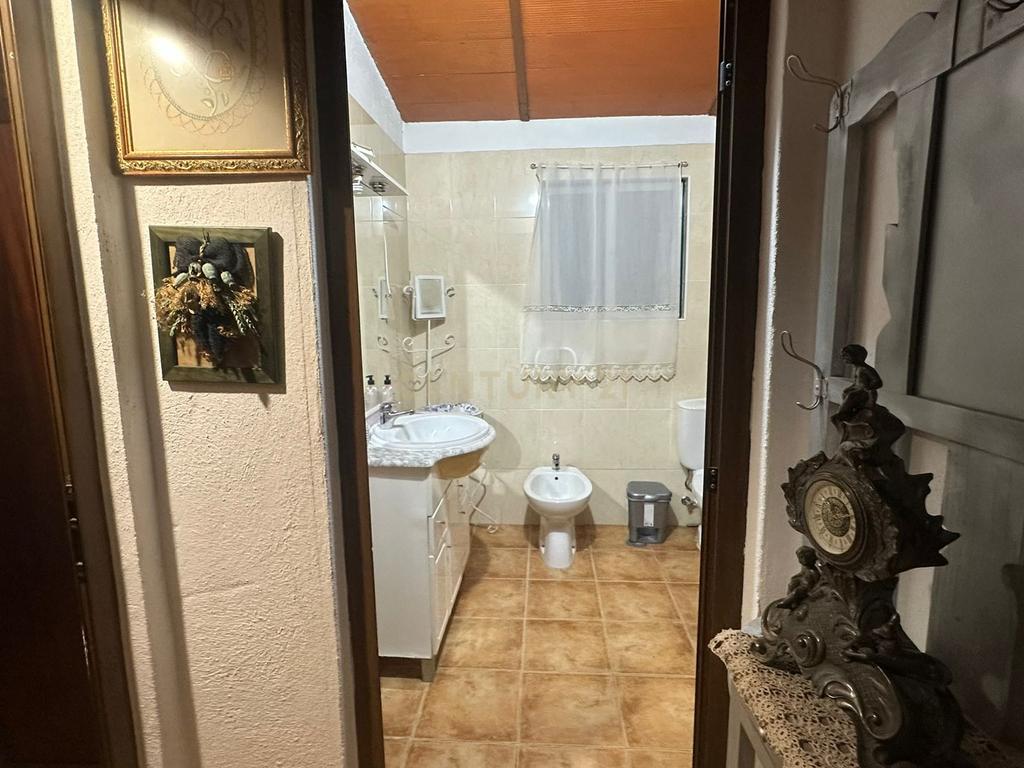 Fantástica Quinta, 5.3ha- Zebreira, Idanha-a-nova - Image 10