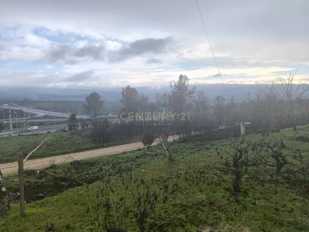 Terreno com vinha e poço - Perto da Zona Industrial de Chaves - Image 7