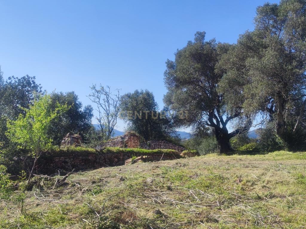 Lote de Terreno com Projeto Aprovado no Cerro da Corte, Loulé - Image 12