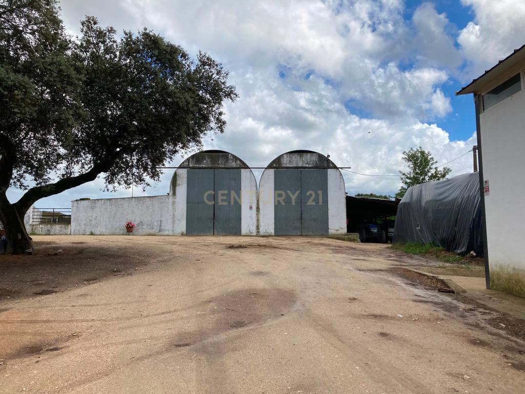 Herdade da Pedra Longa — Um Património Único no Coração do Alentejo - Image 30