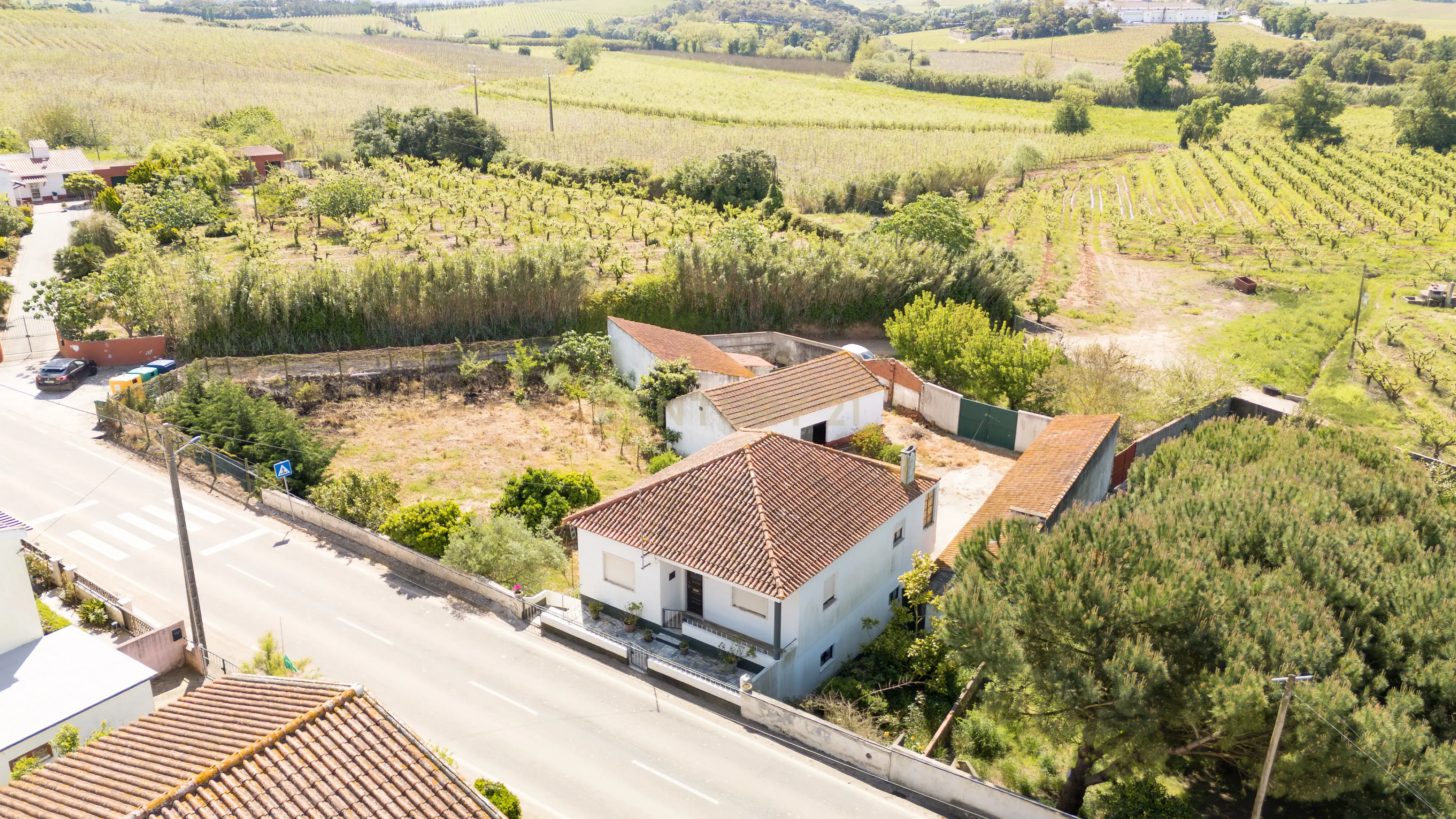 Moradia com Terreno e Anexos no Sobral do Parelhão – Bombarral - Image 1