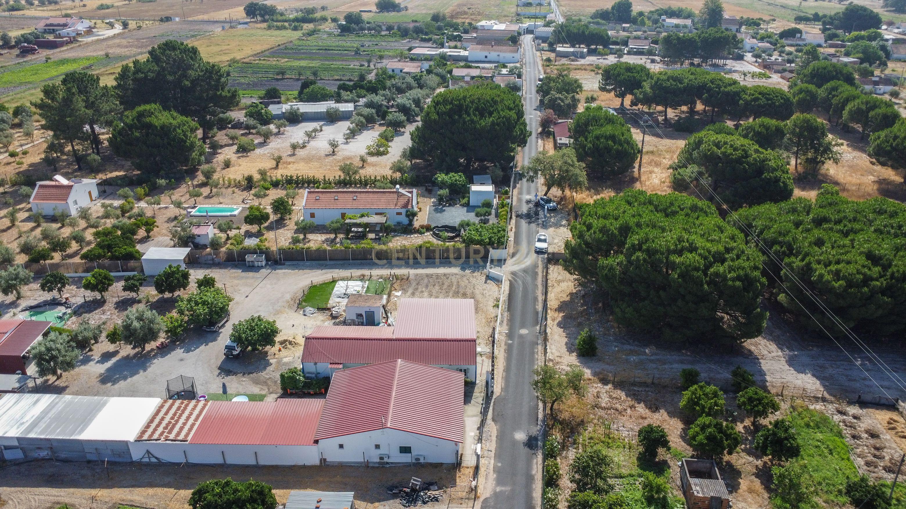 Fotografia 8 de Terreno rústico com 2.600 m² - Vale Gamito, Quinta do Amaro, Grândola