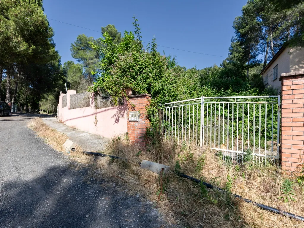 - Image 1